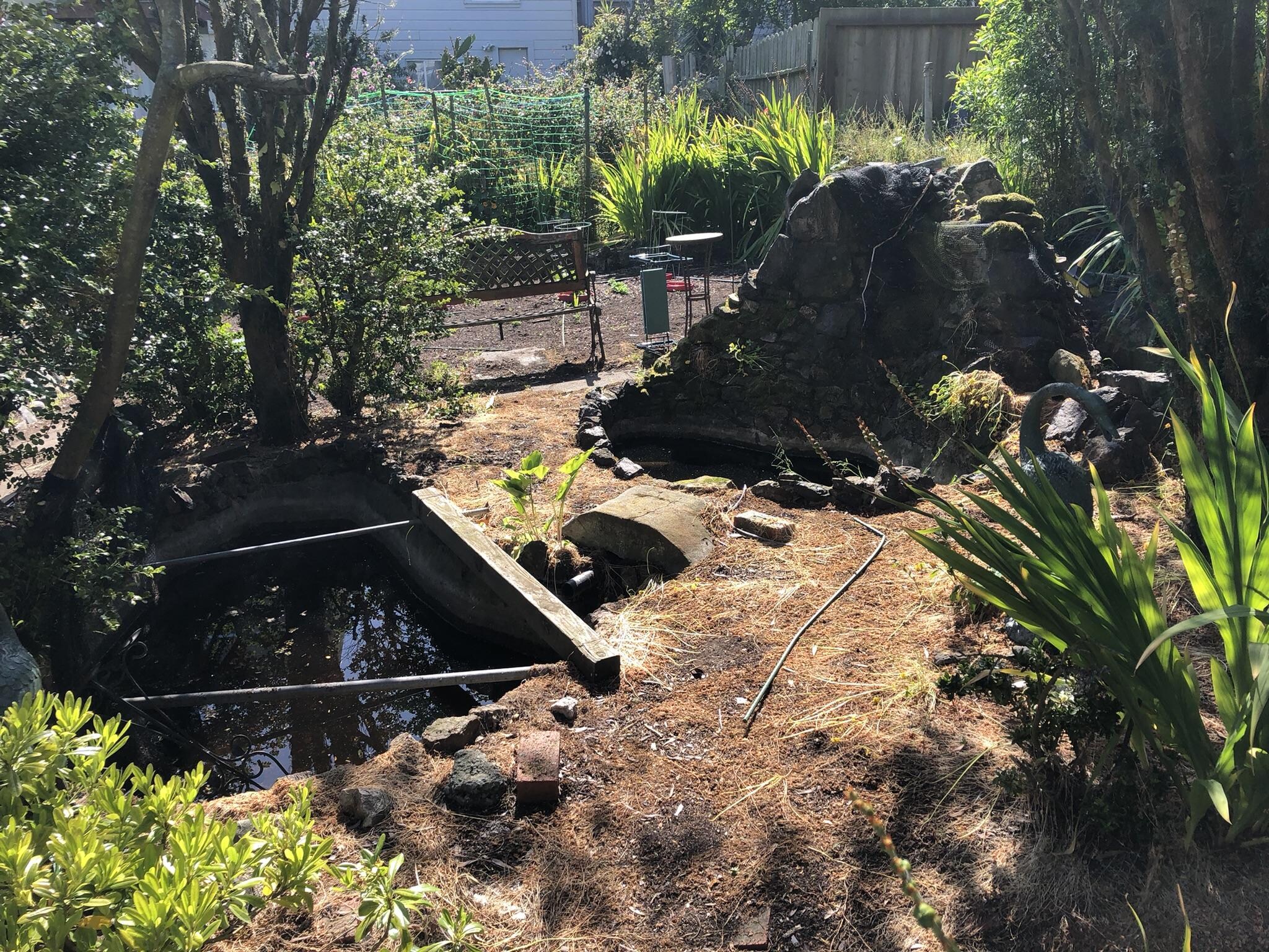 stagnate water pools