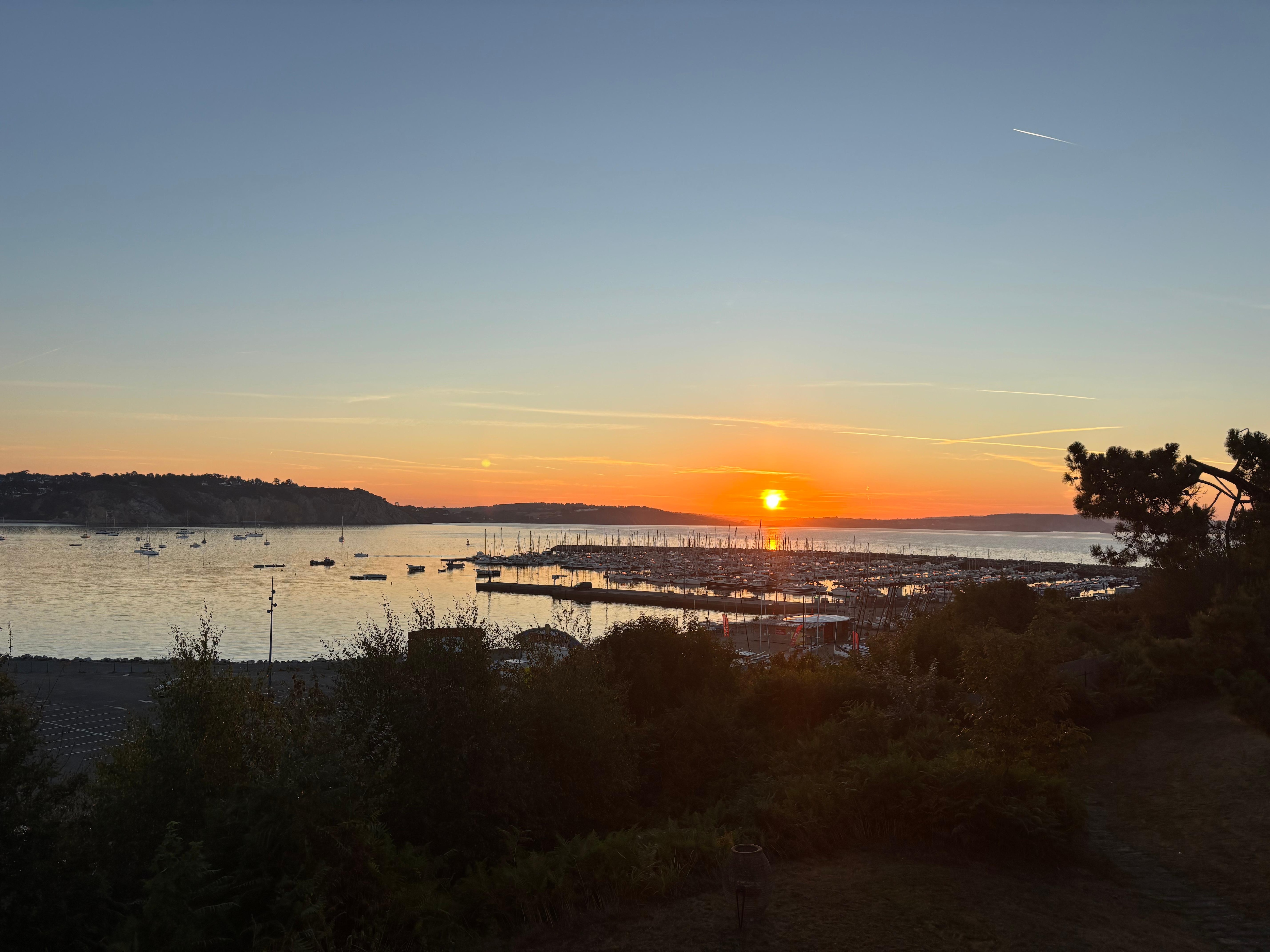 View from the house at dawn.