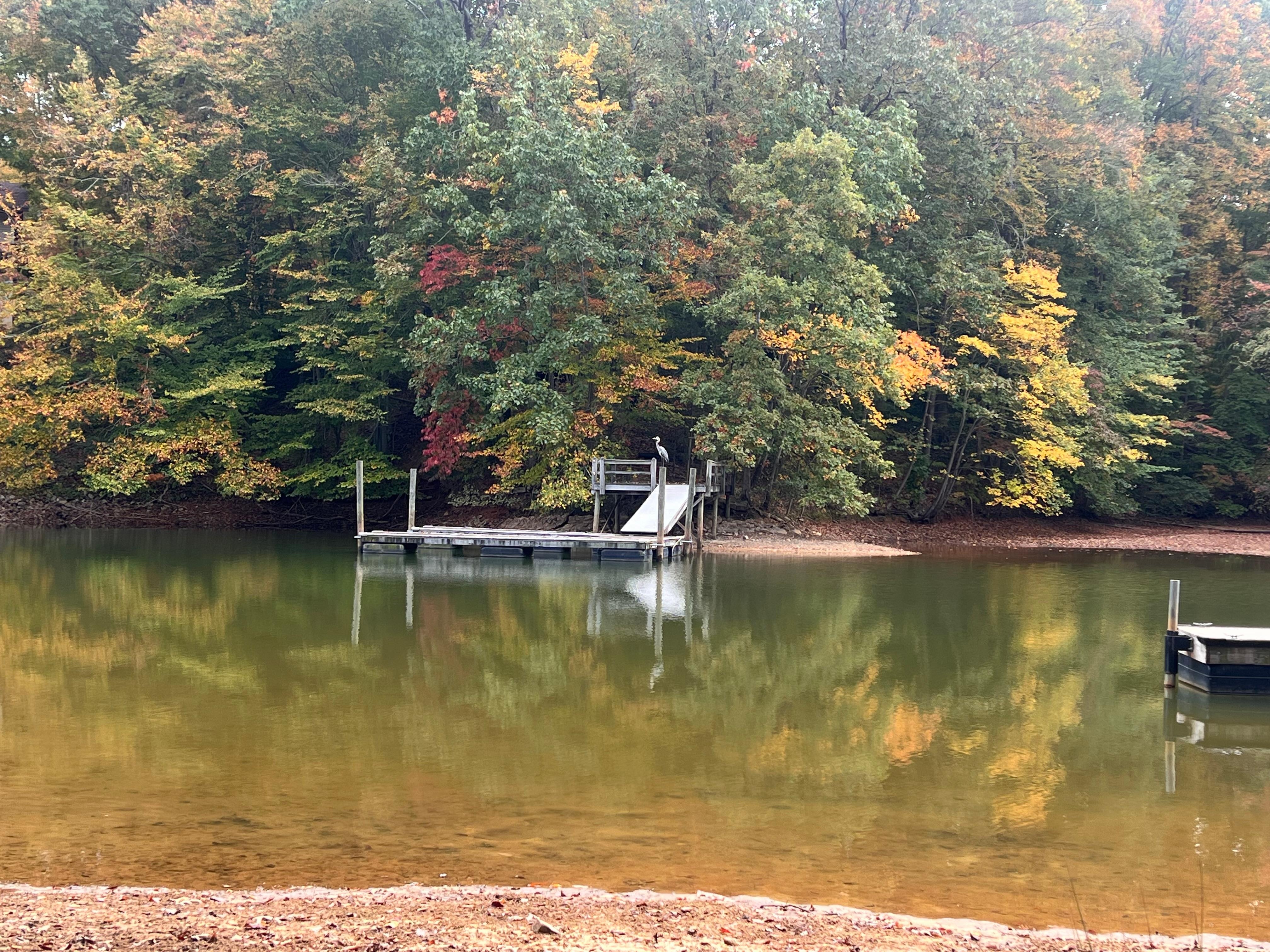 Our fall lake view 