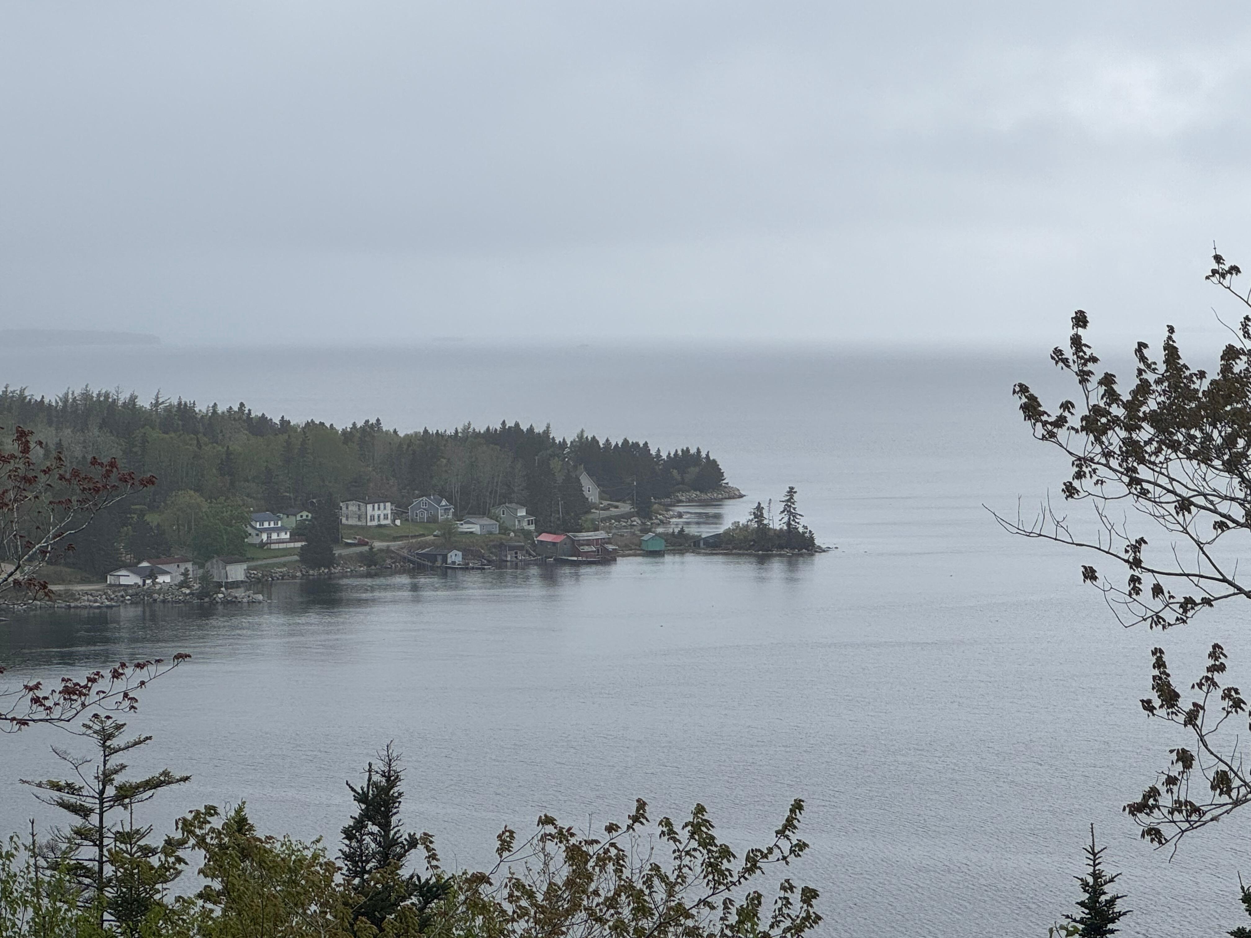 View from the deck.