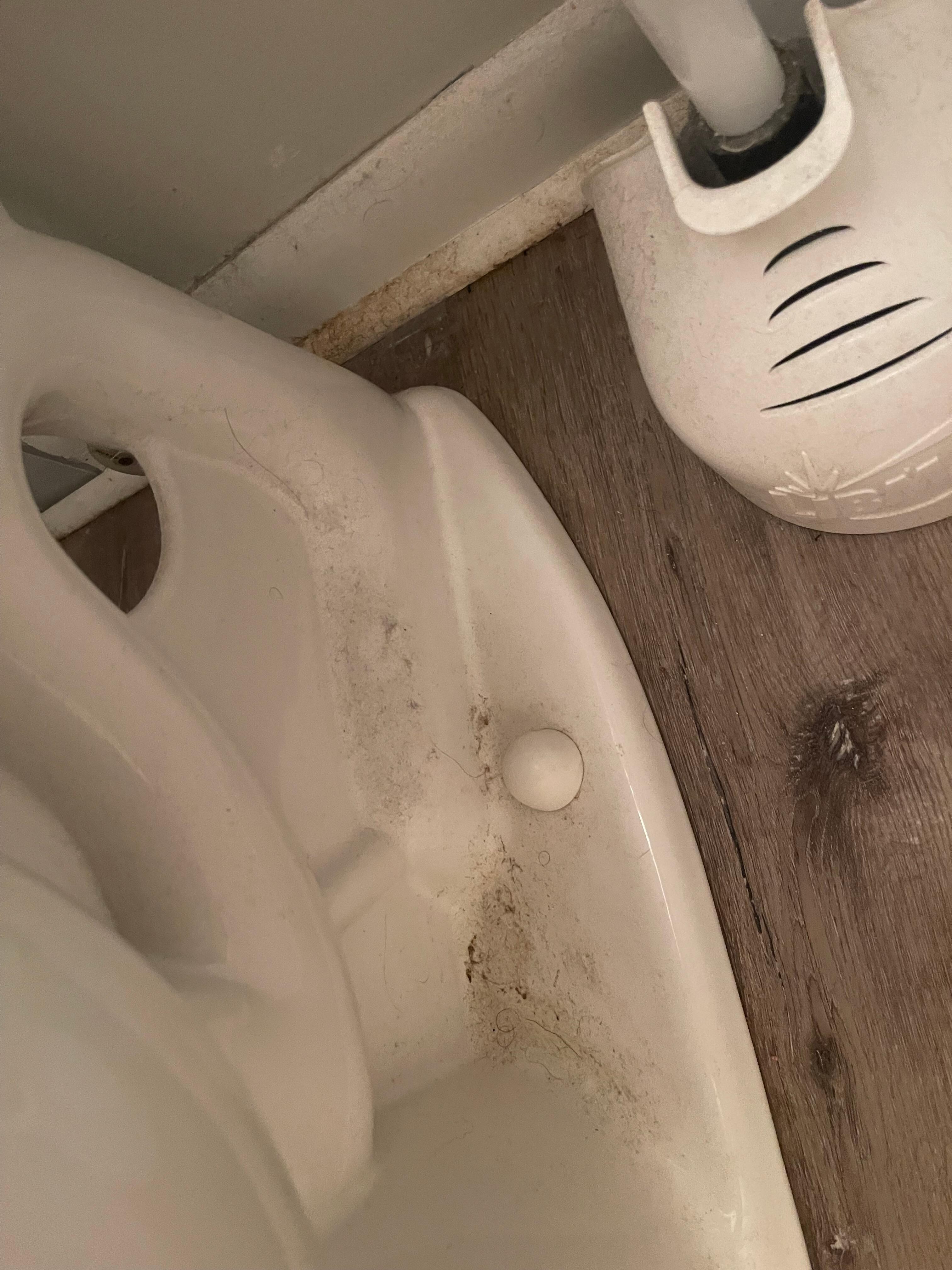 Back of toilet and baseboard. 