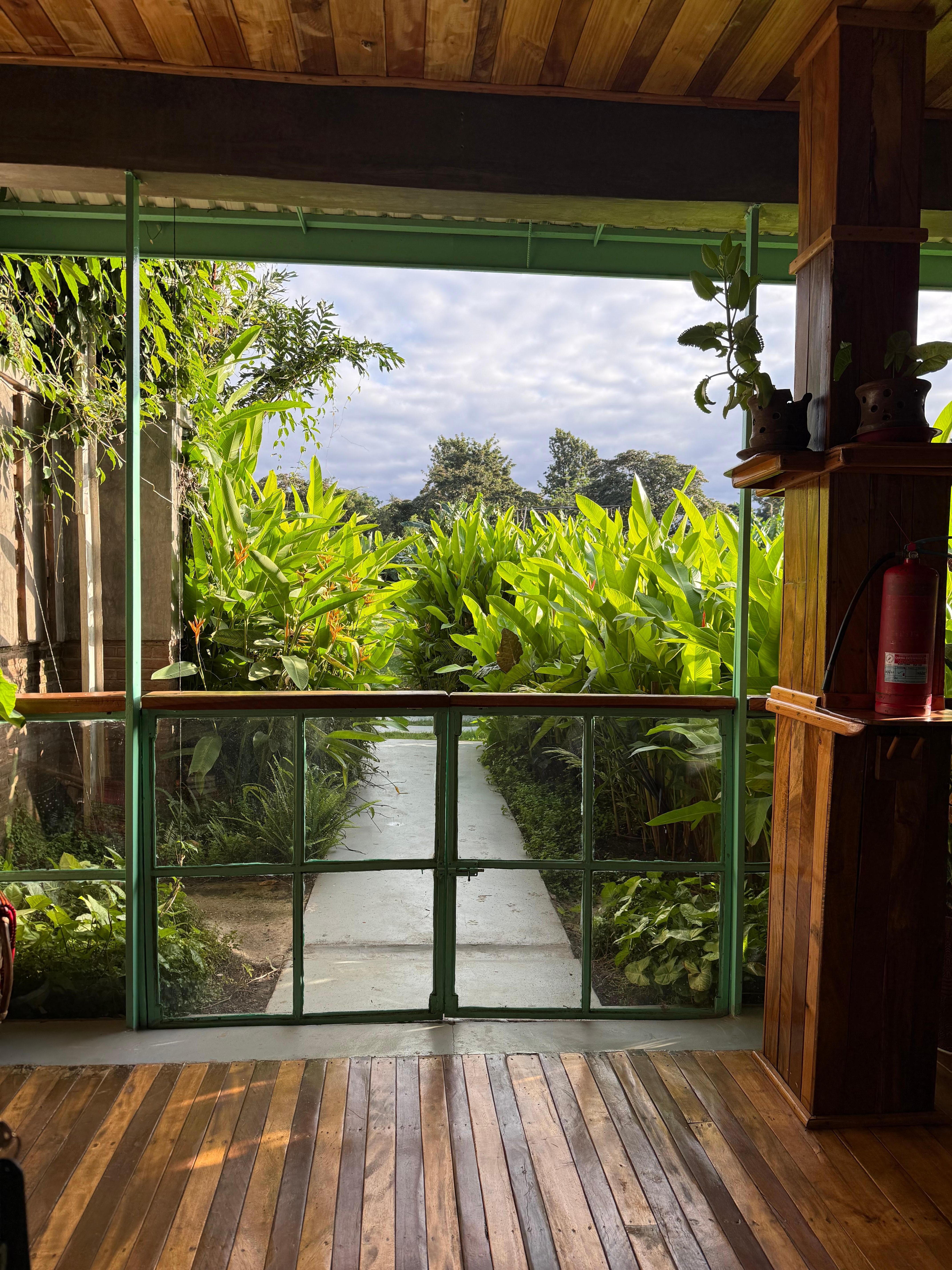 View from our beautiful first floor garden room