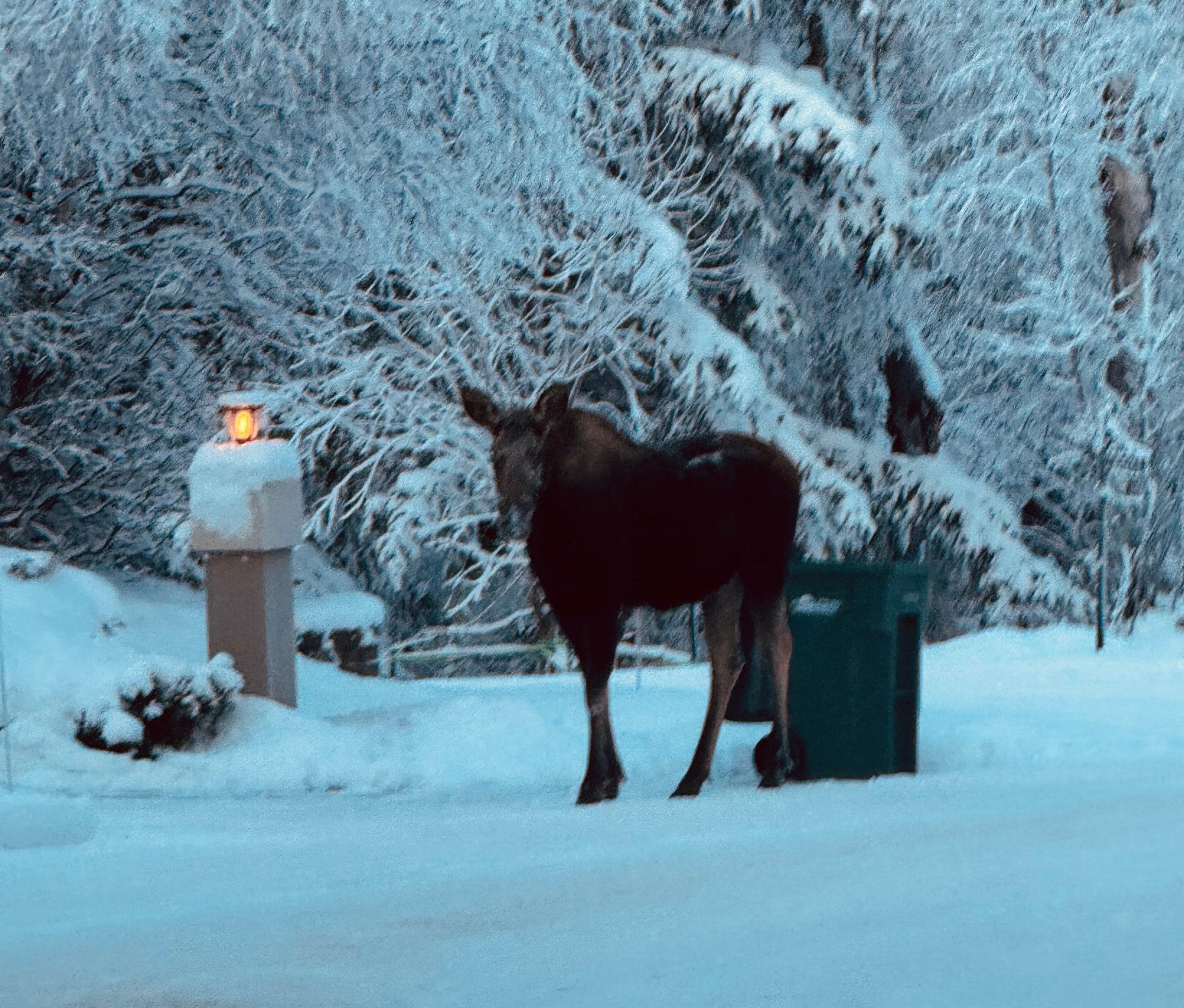 Saw her and her baby in the neighborhood