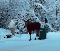 Saw her and her baby in the neighborhood