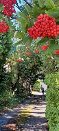Entrance to the house from the road.