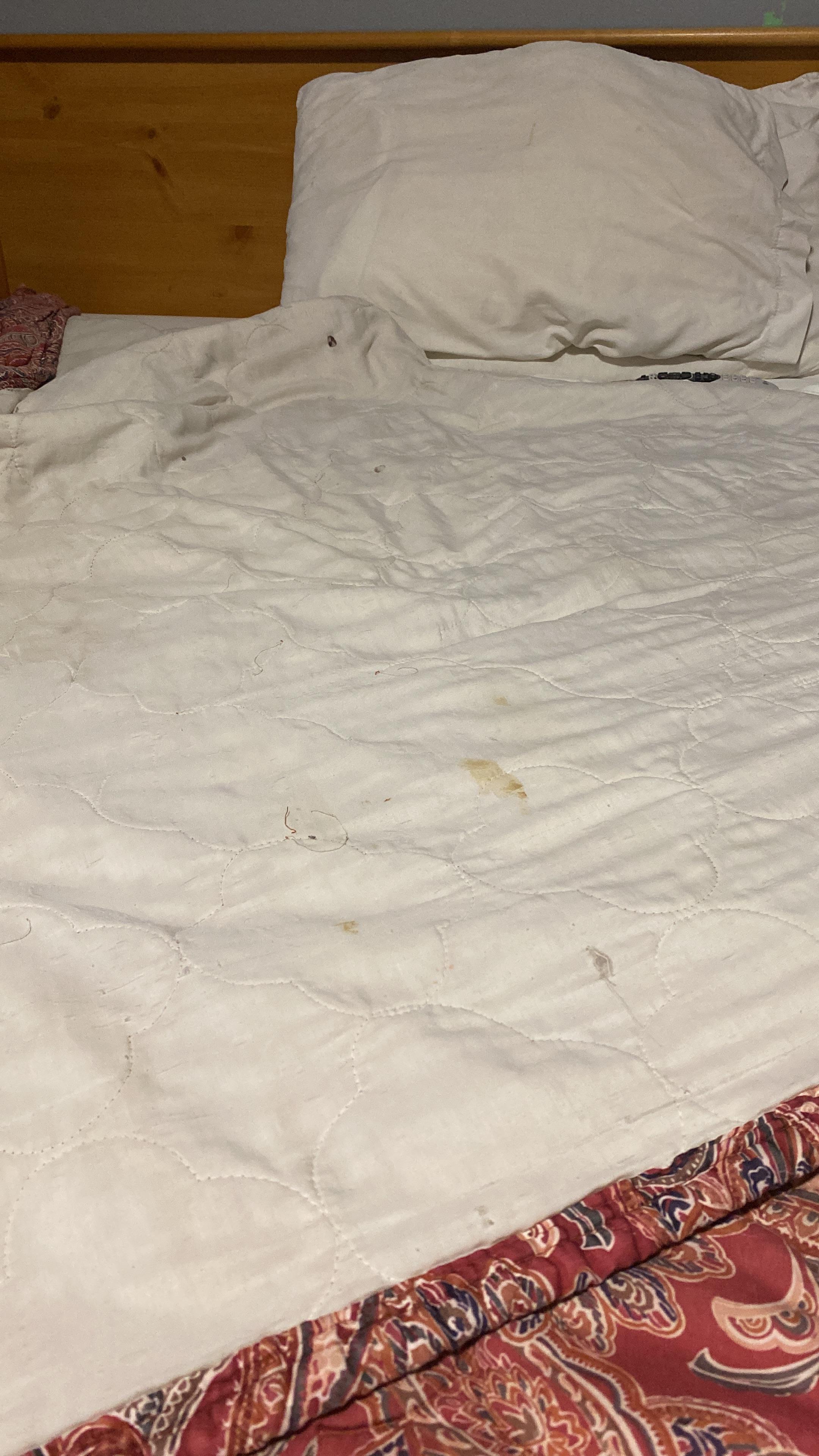 Filth on bedspread & dirty, stained sheets. 