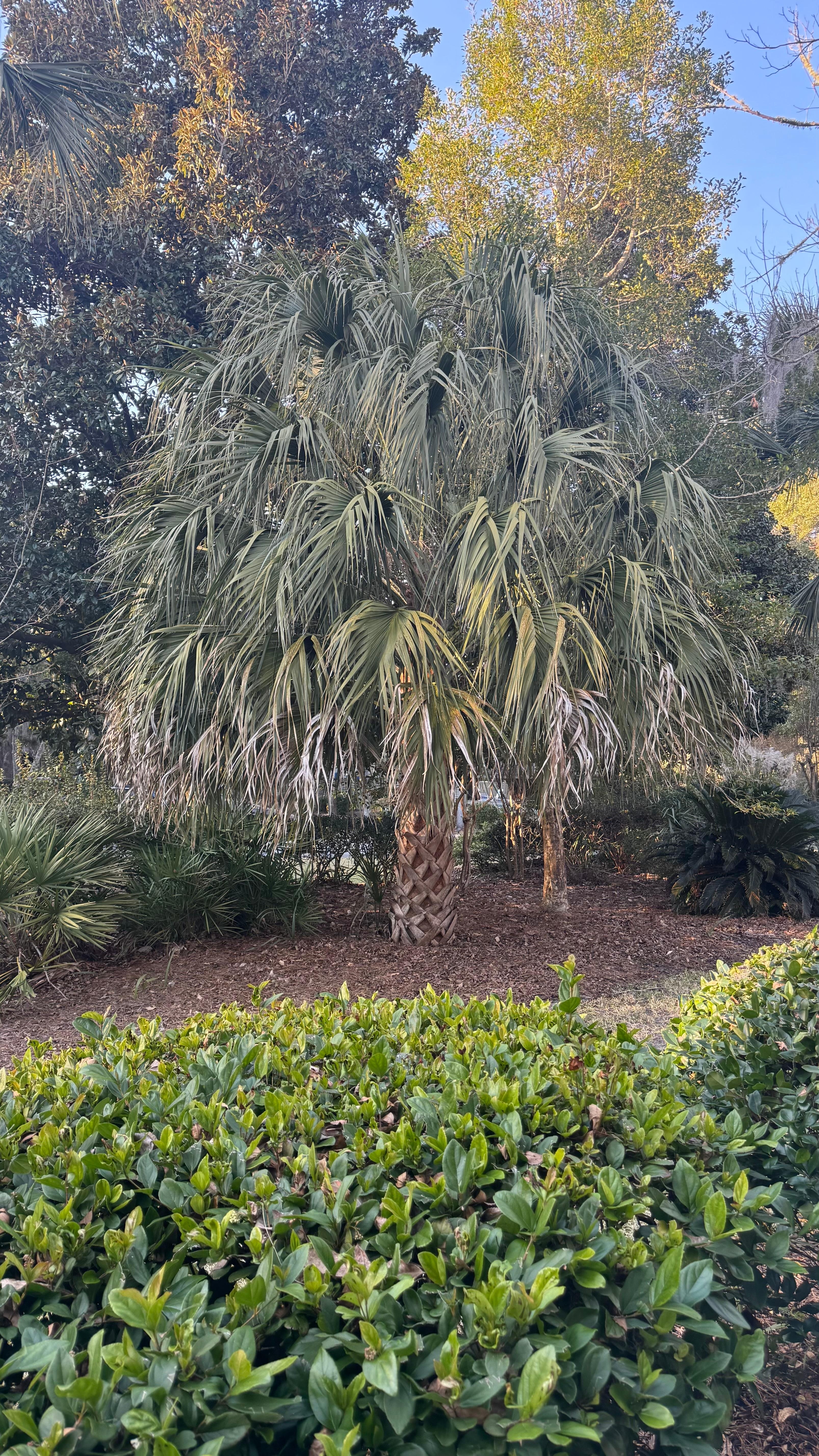 Outside the villa’s window