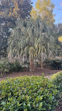 Outside the villa’s window