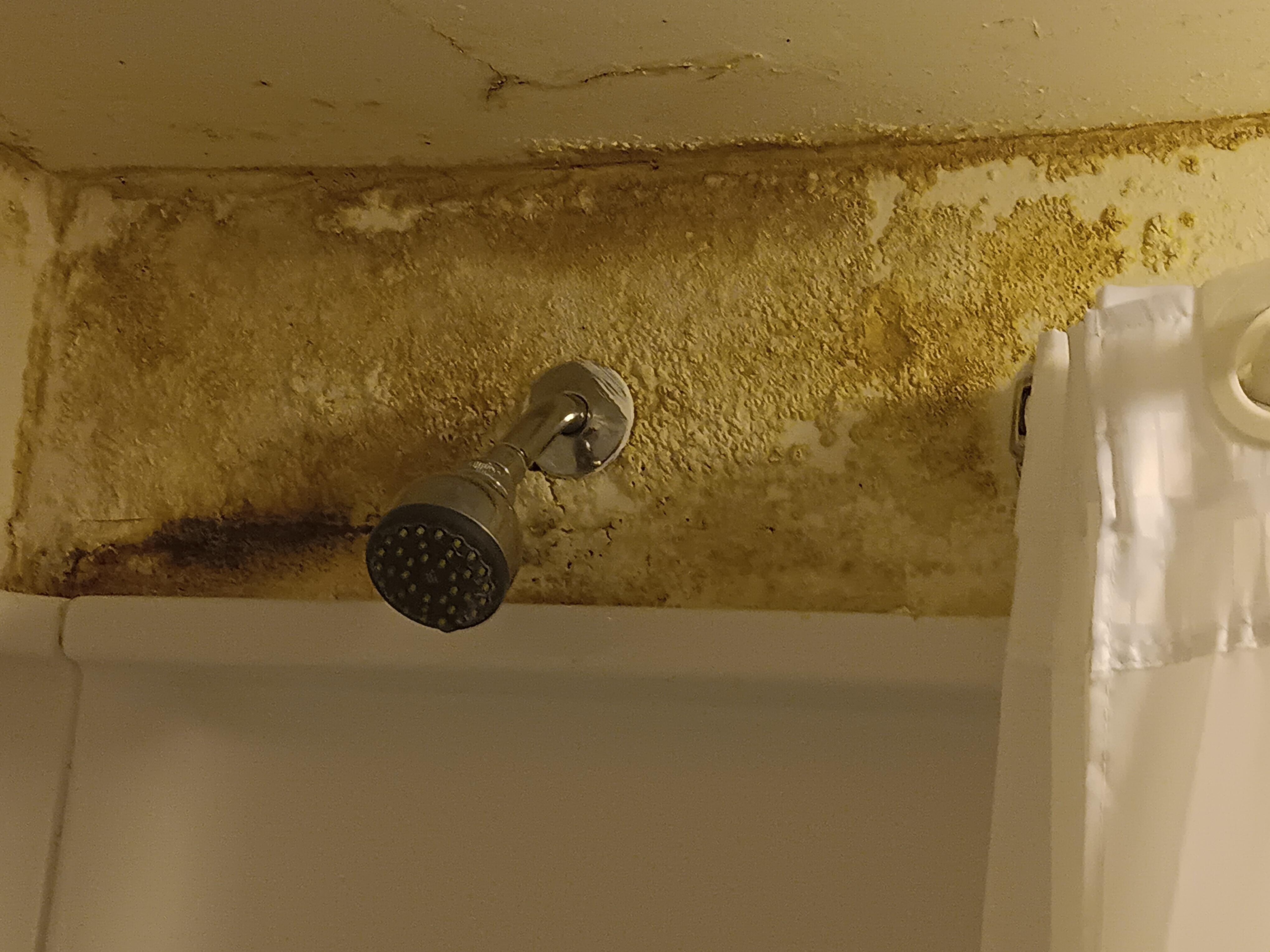 Shower head in our room.