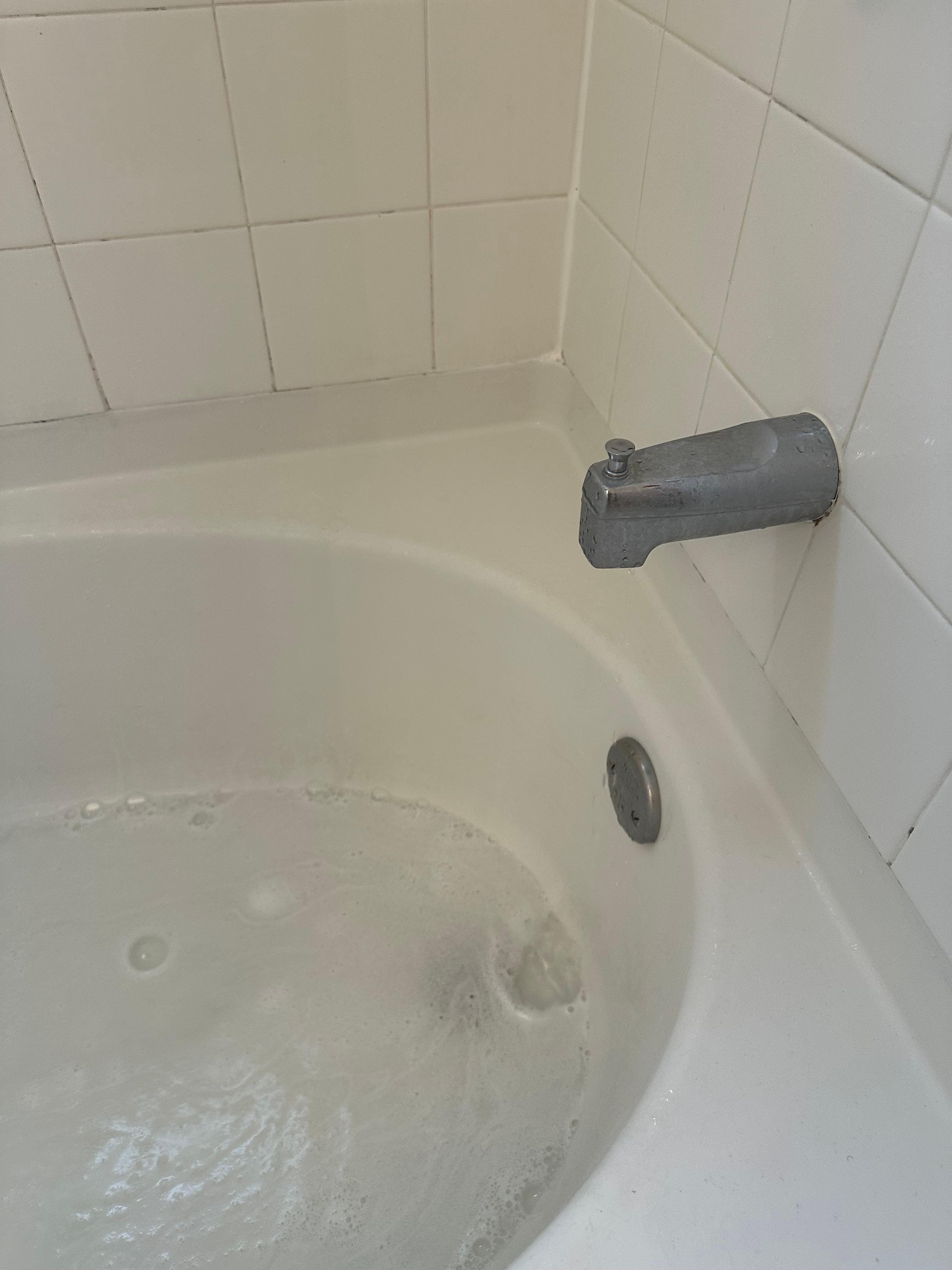 Shower won’t properly drain 