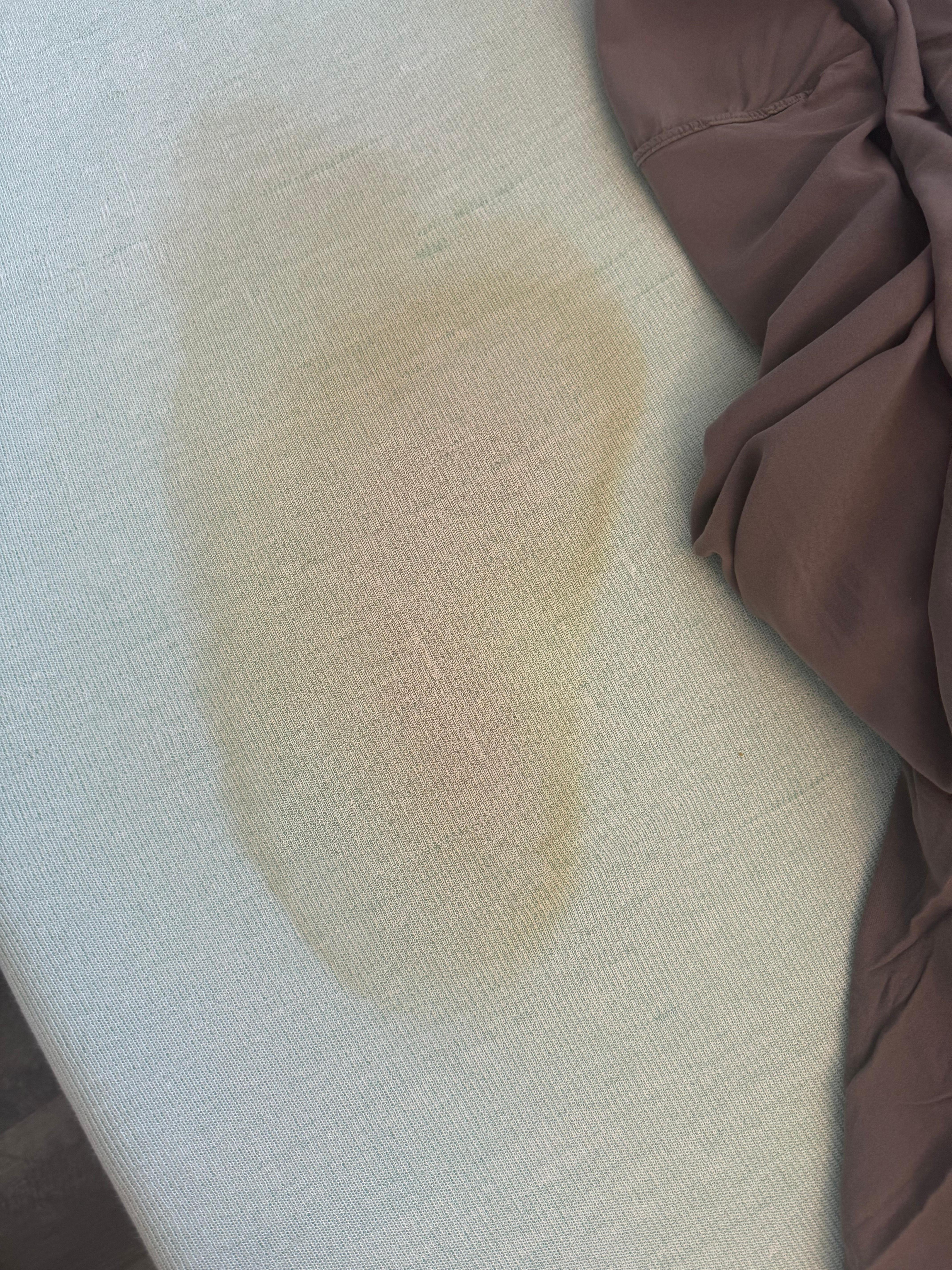 Urine stain on bed in master room 