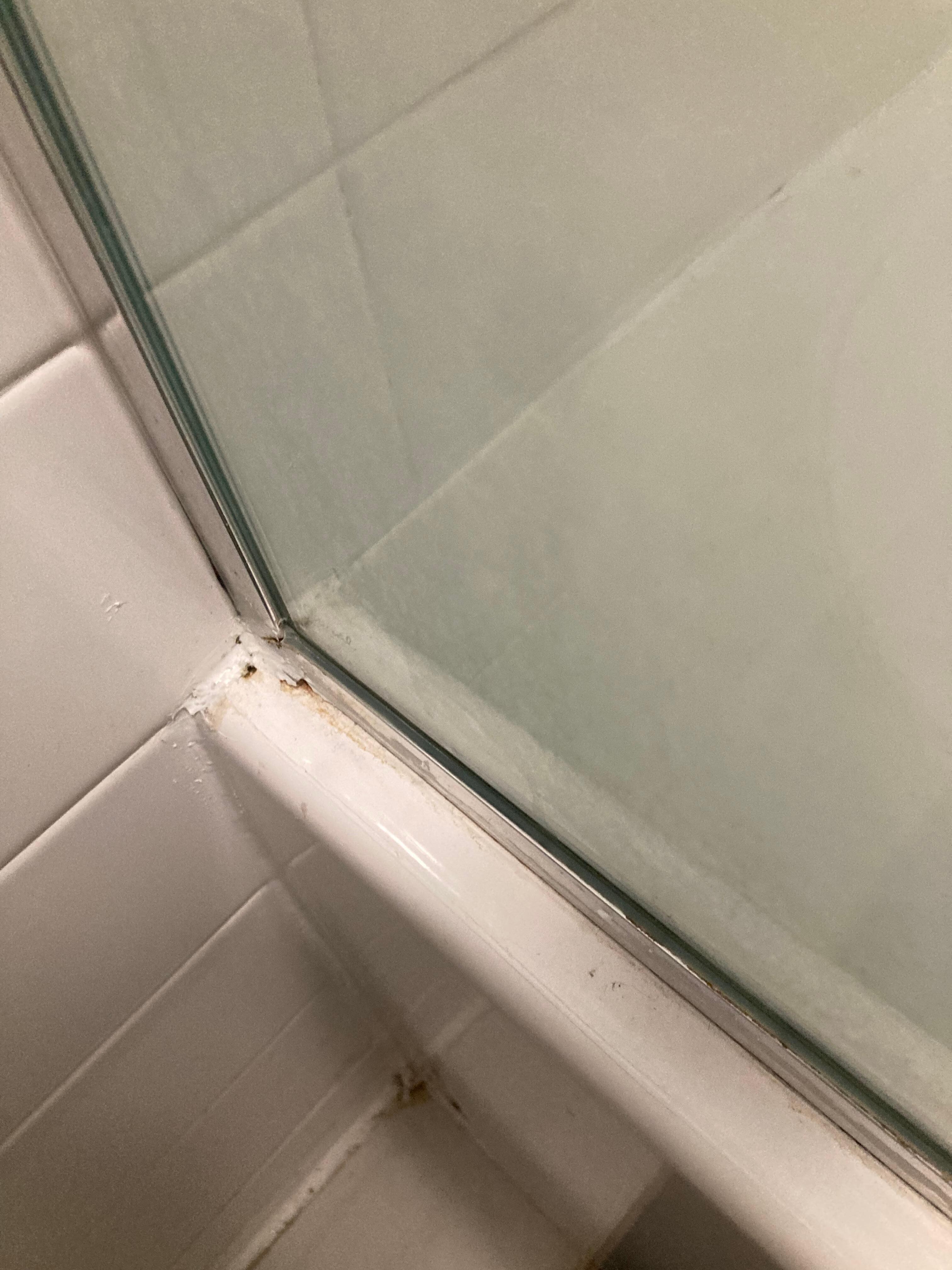 Shower door