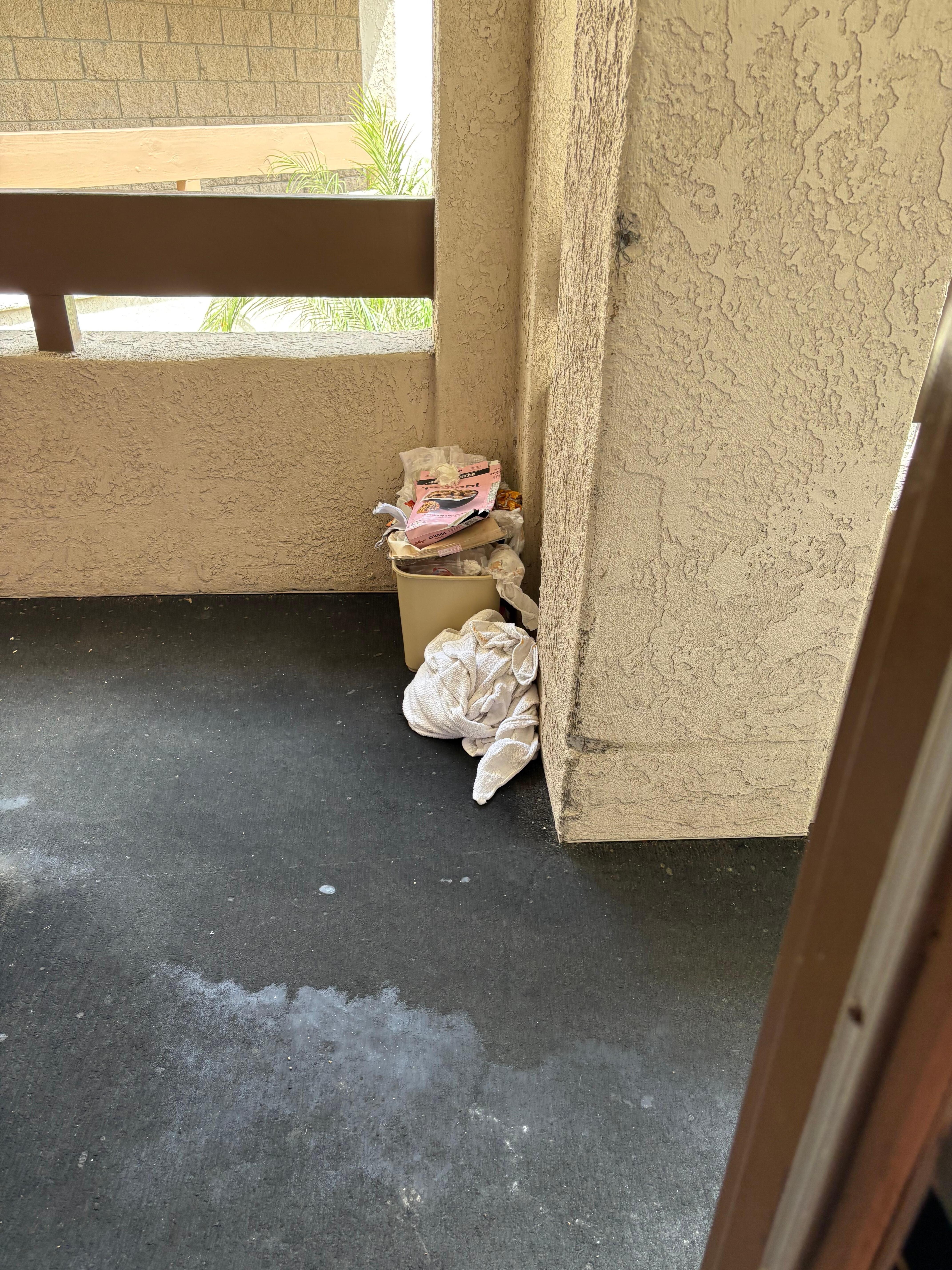 Trash in the hallway in front of our room.