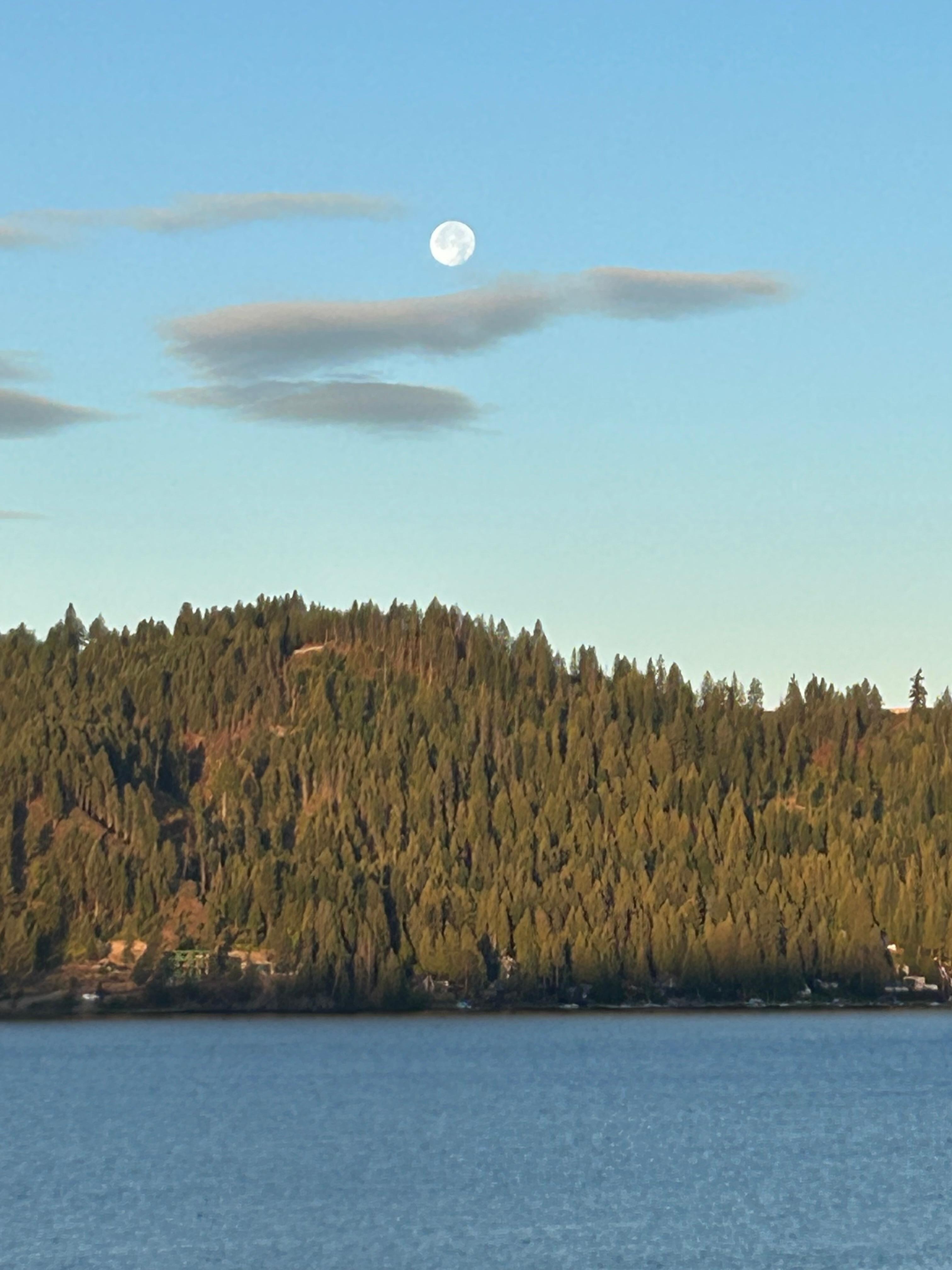 The view with my coffee early morning 