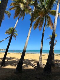 Our friendly server Sandy at El Flamboyan down the street from the condo