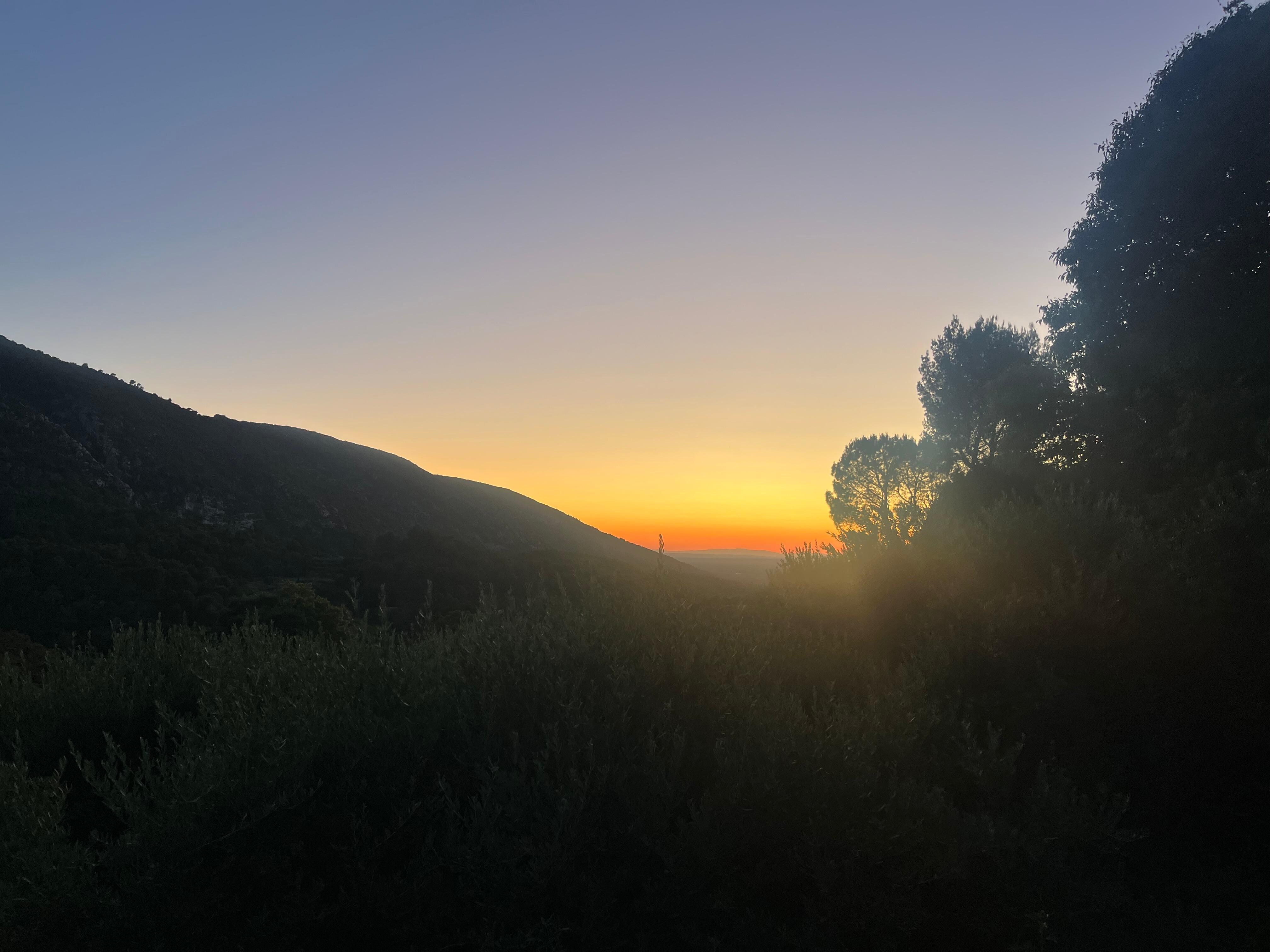 Sunset