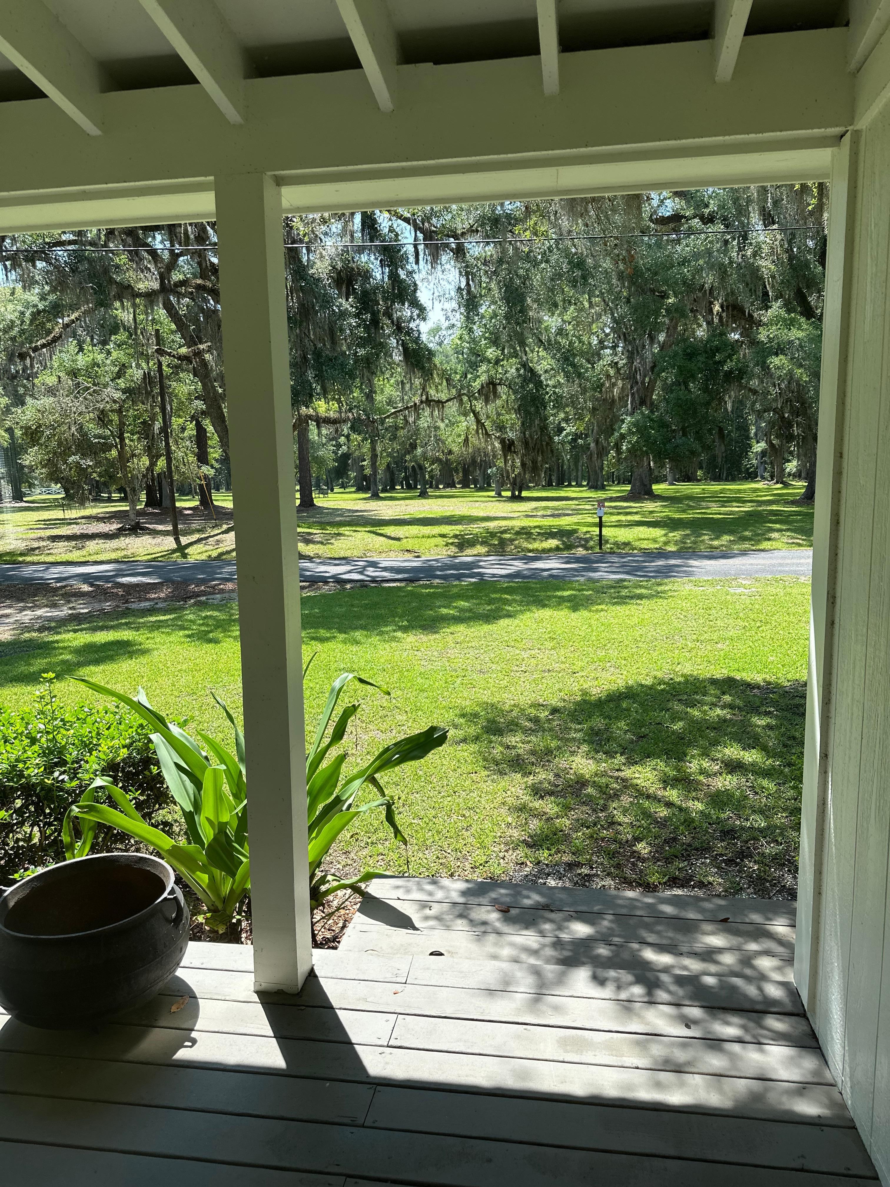 Looking out at the historic park in front of the house