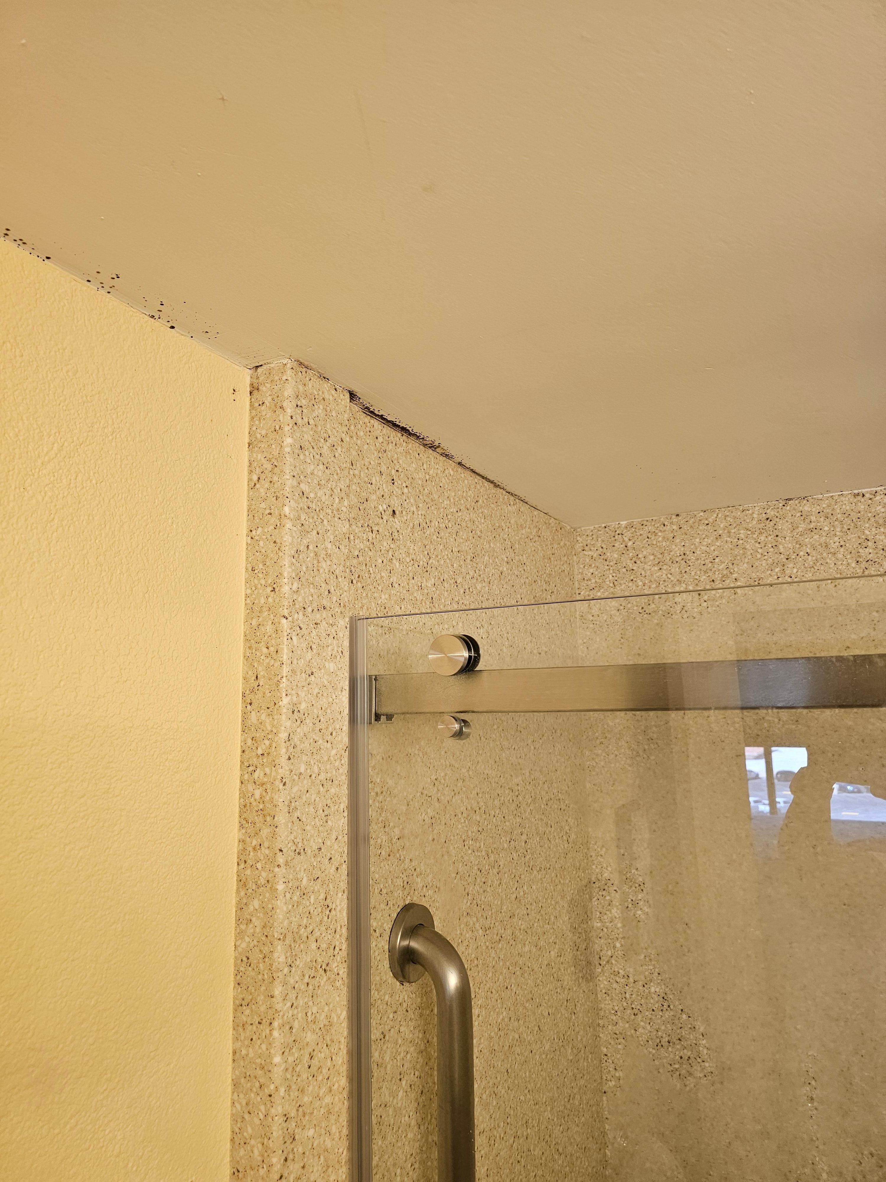 Mold in bathroom