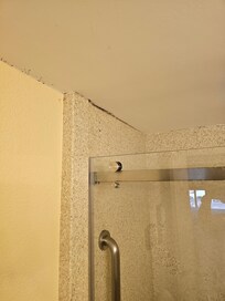 Mold in bathroom