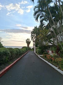 A walking path at the condo