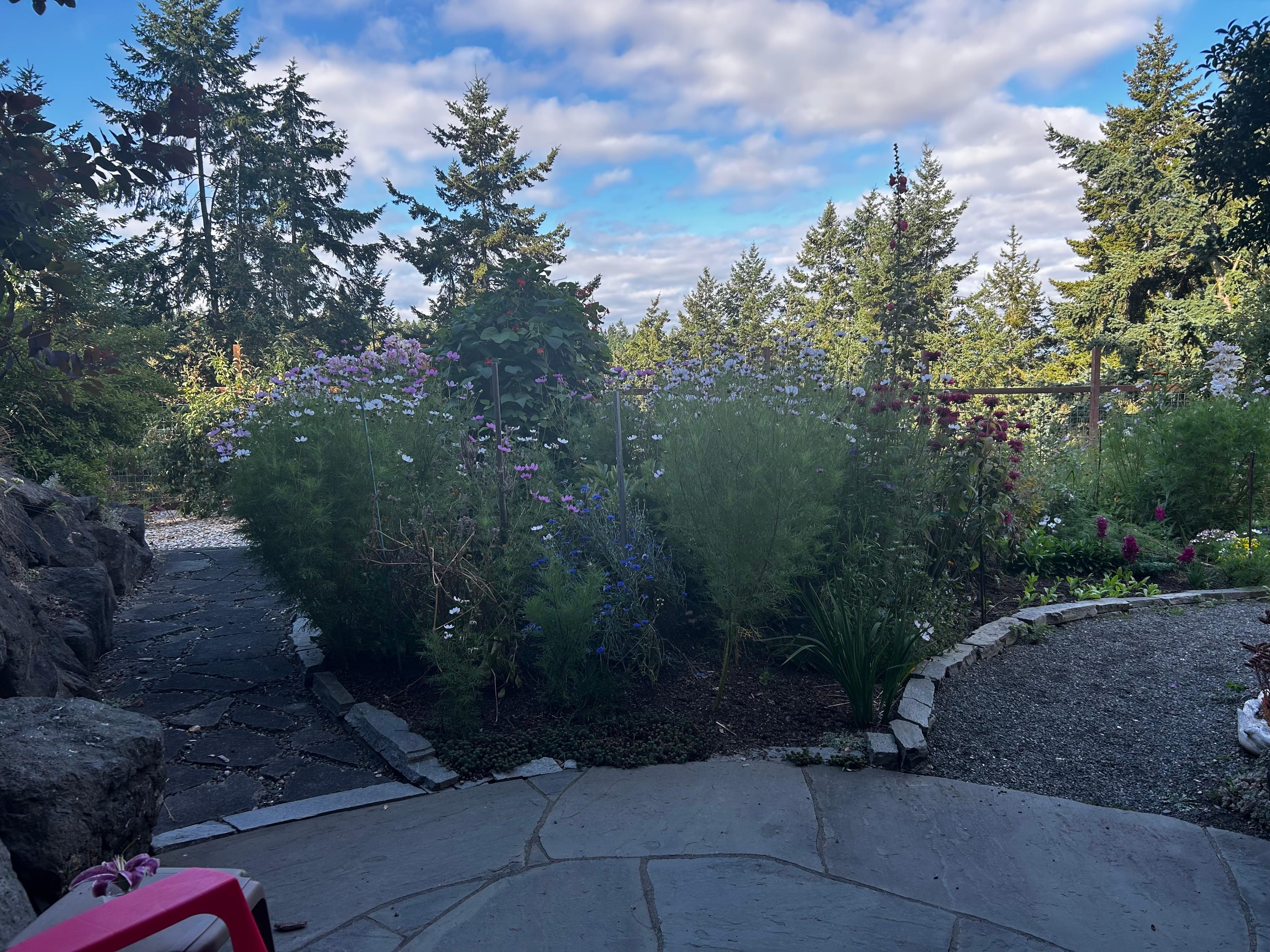 The view from the outside seating area. 