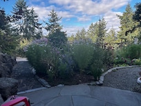 The view from the outside seating area.