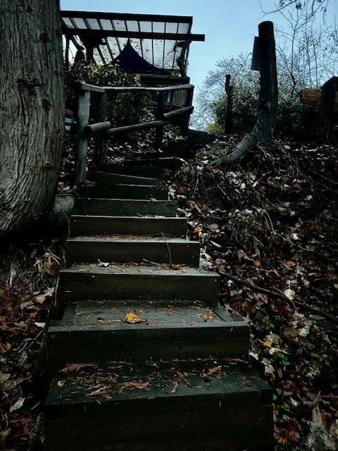 Crazy steps to the river. Definitely hang on!