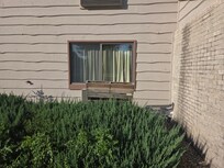 Unmowed lawn with a pallet thrown on front of a room window.