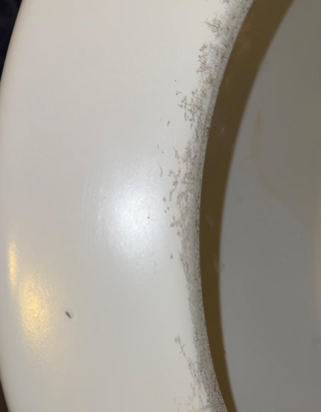 This ring of scratches went around the toilet seat
