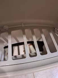 Dirty trashy water in the ice machine