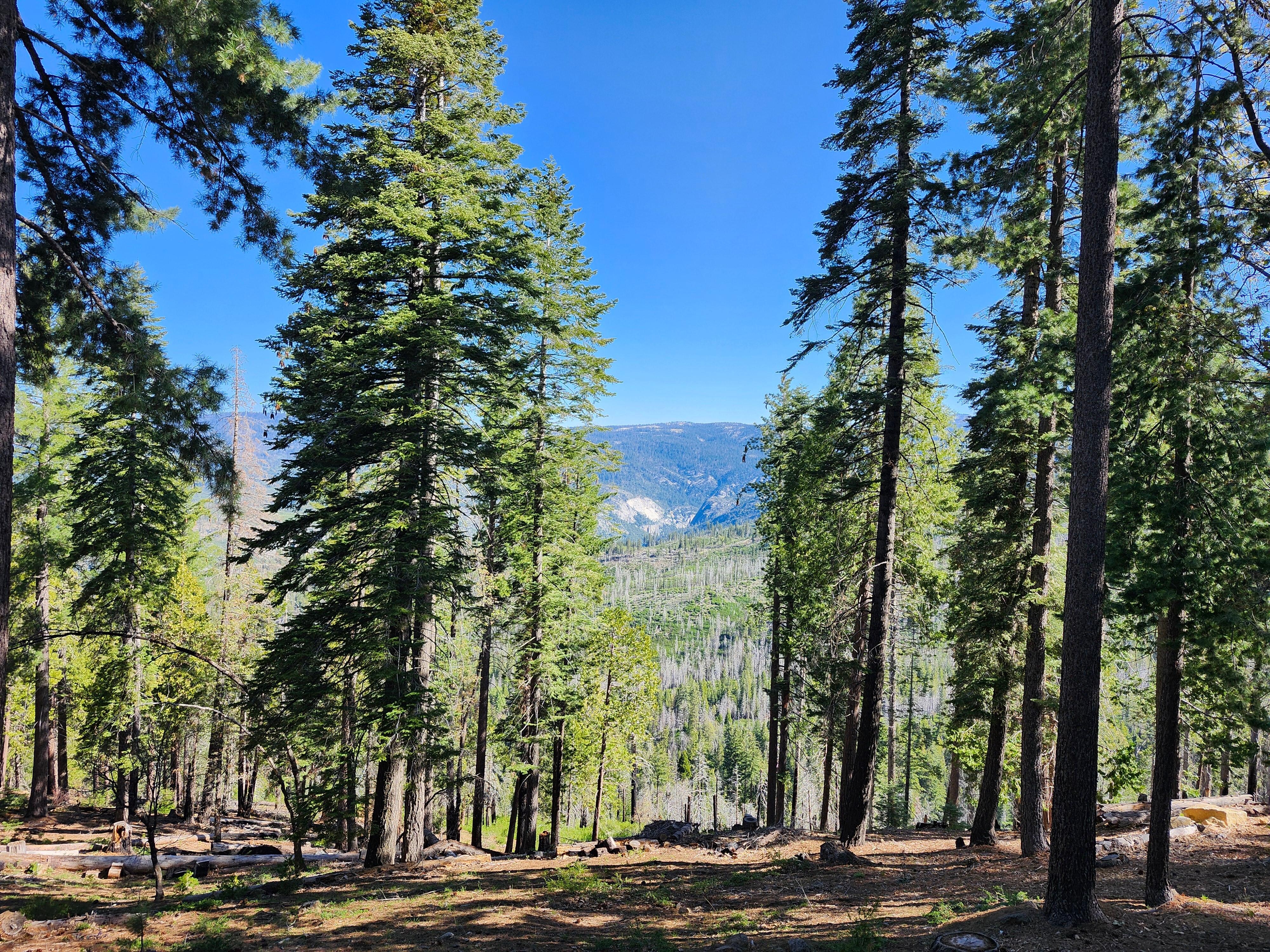 View from back porch