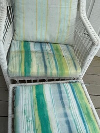 Filthy outdoor furniture. ( host did send someone to power wash after we complained )