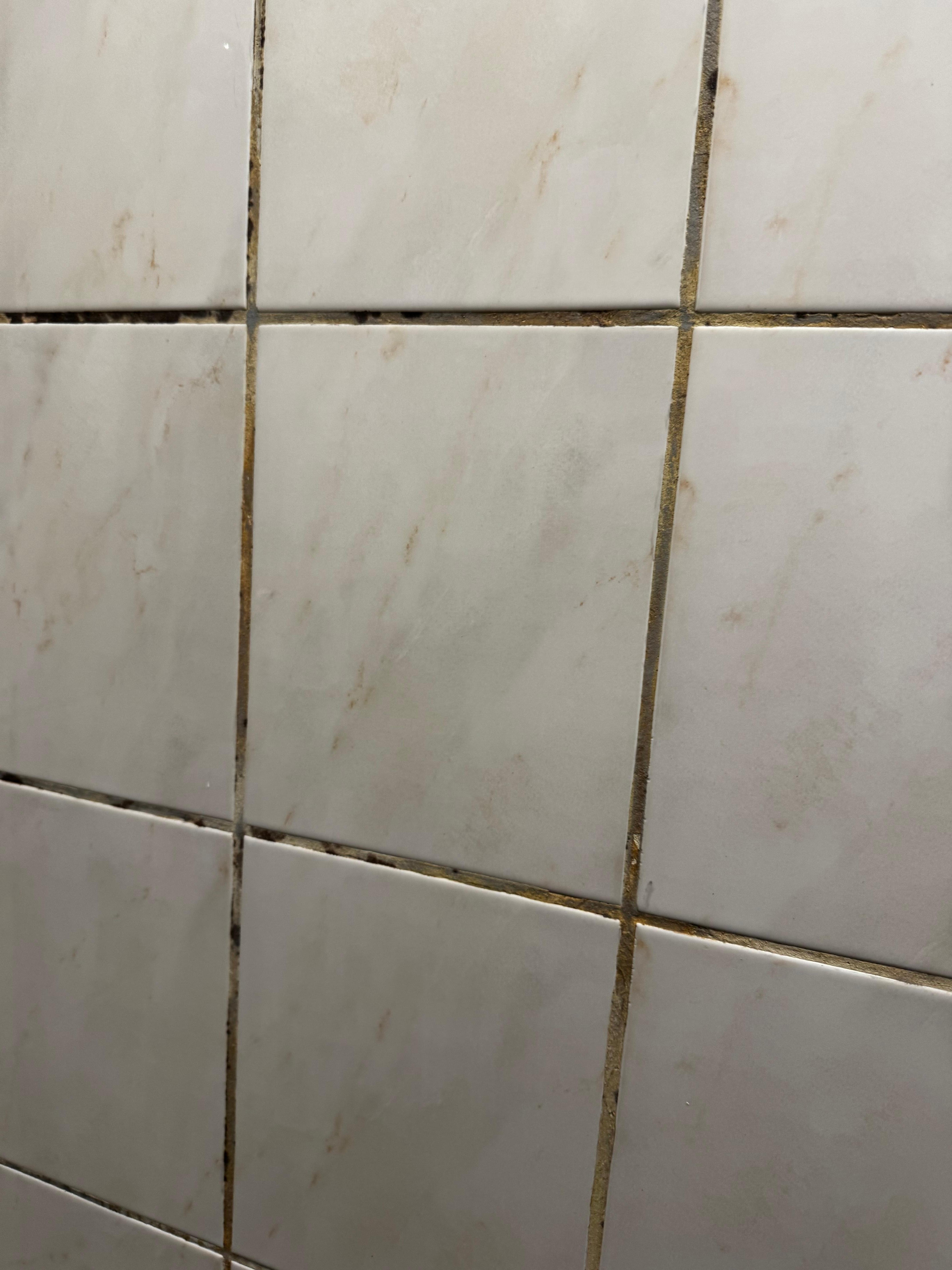 Svartmögel? I duschen