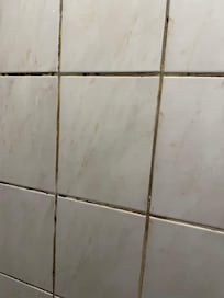 Svartmögel? I duschen