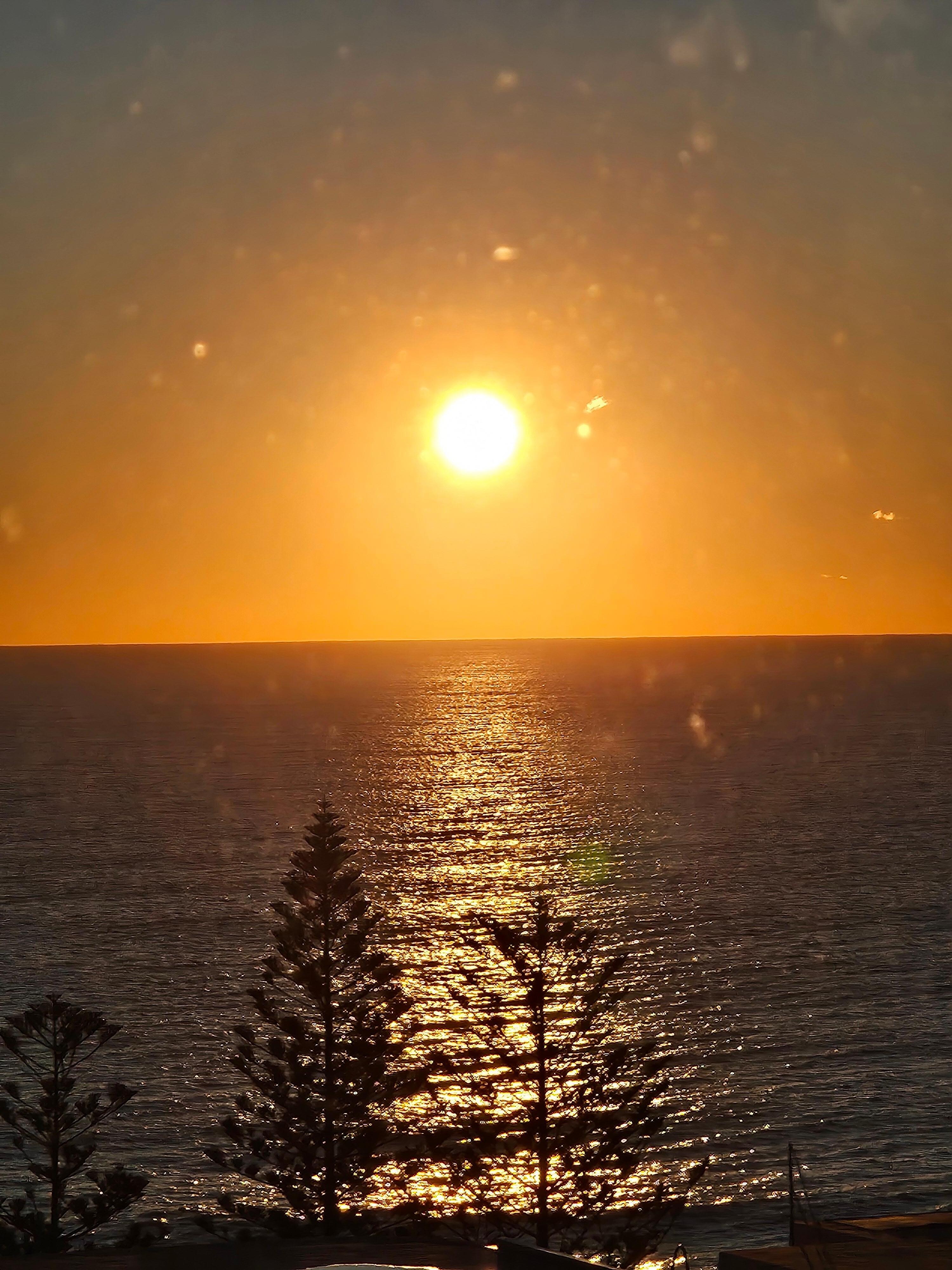 Woke to this view one morning
