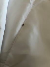 Bedbugs in the 2nd room was still charged for entire stay