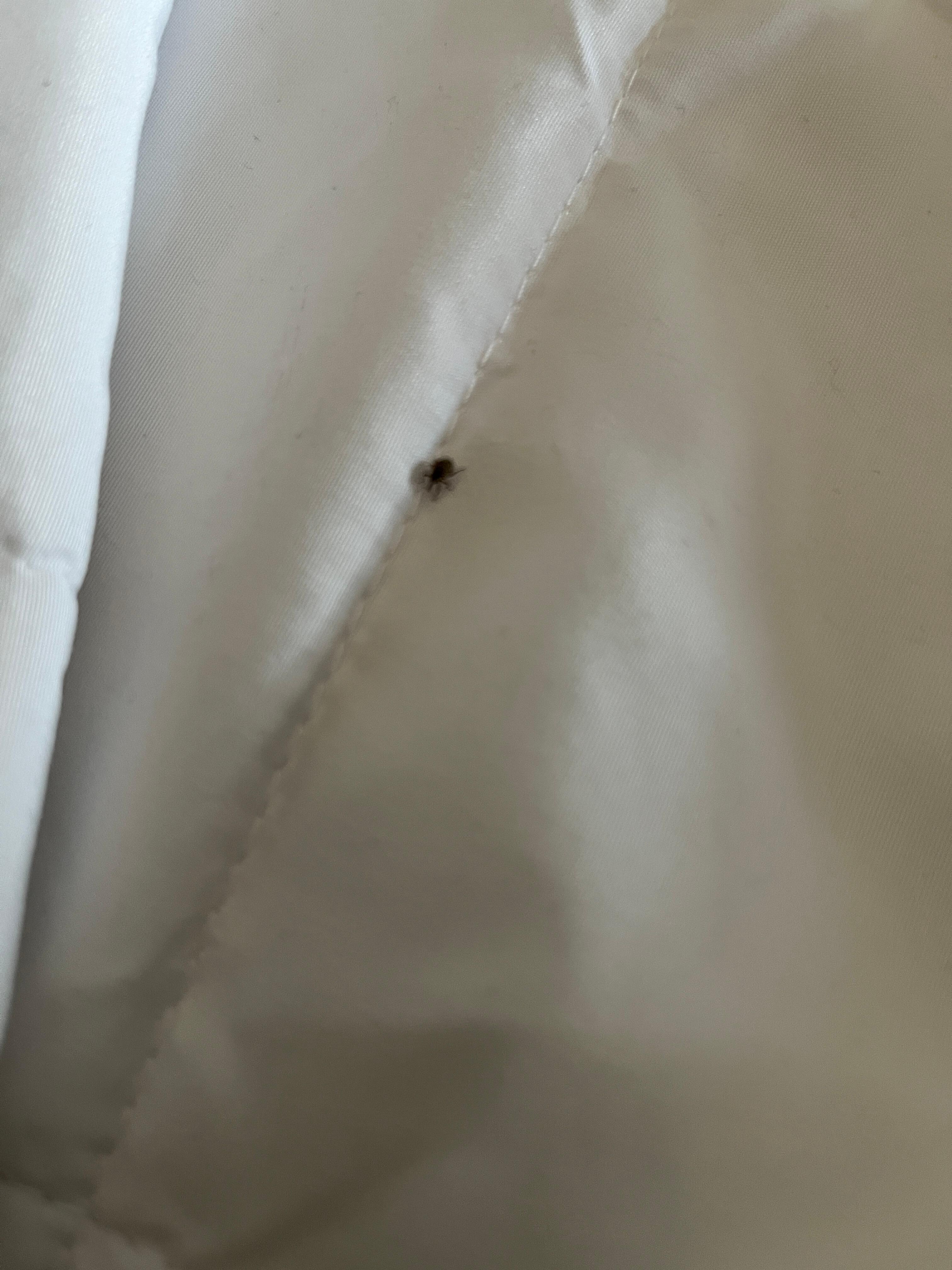 Bedbugs in the 2nd room was still charged for entire stay 