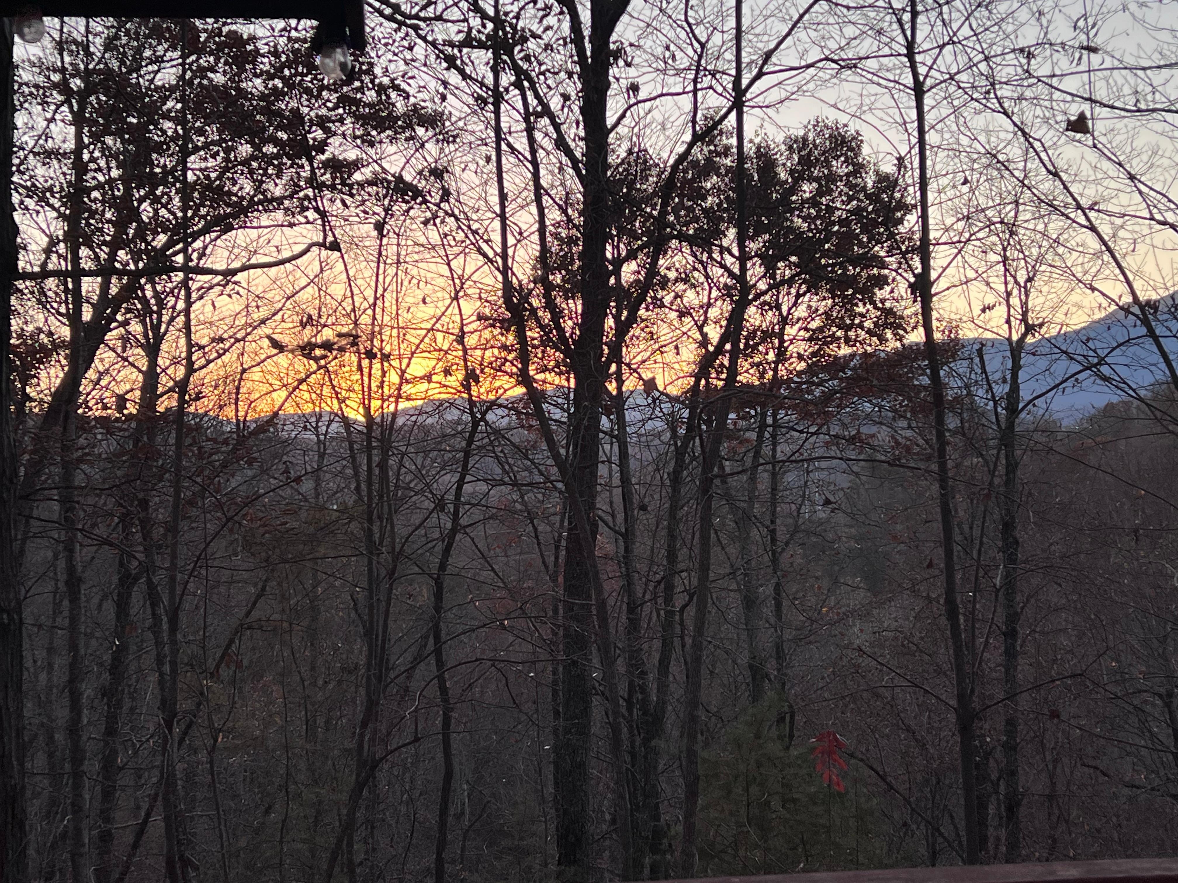 Beautiful view out the back of the Sunrise 11/14 