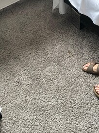 Pletter i det langhårede gulvtæppe