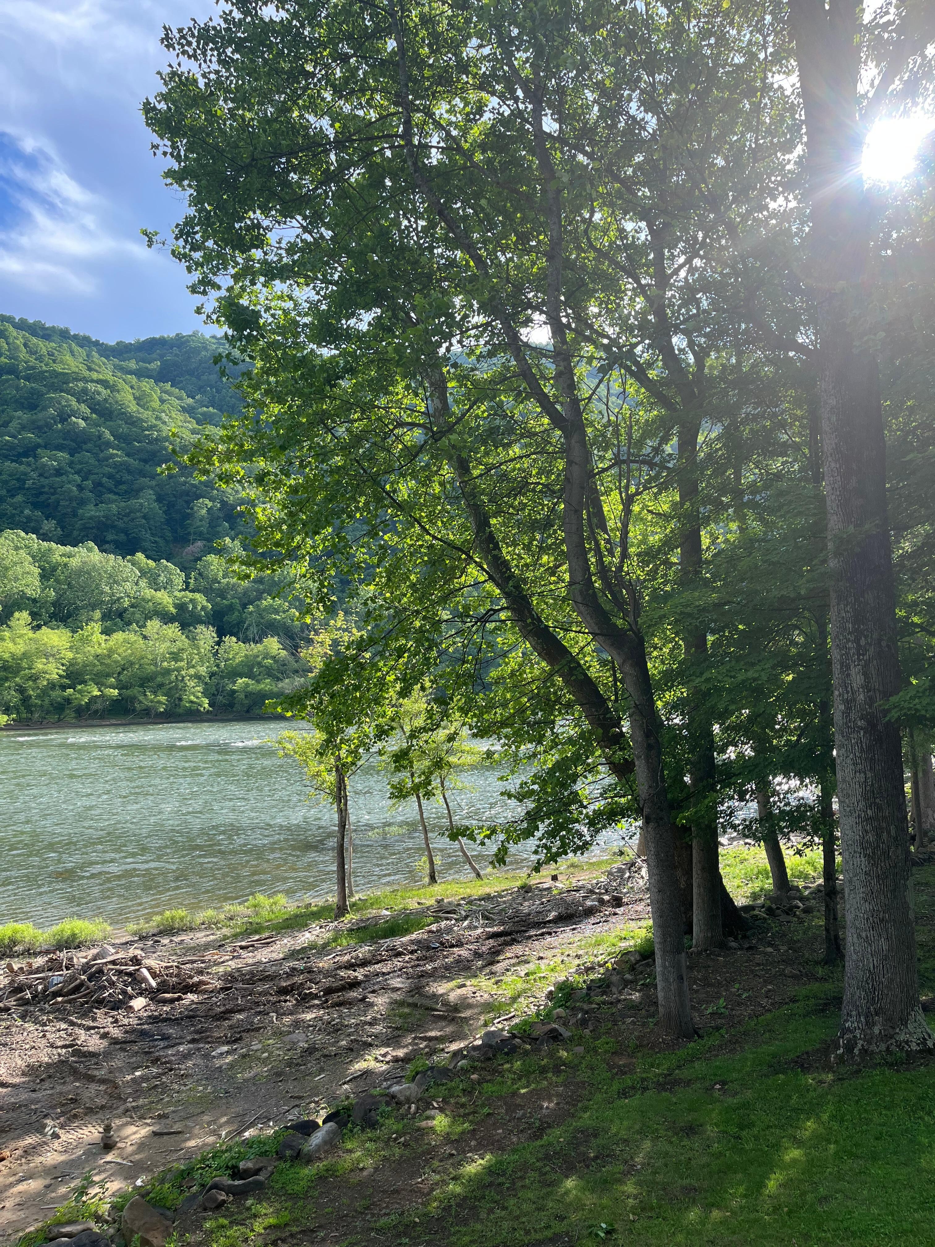 View From back deck