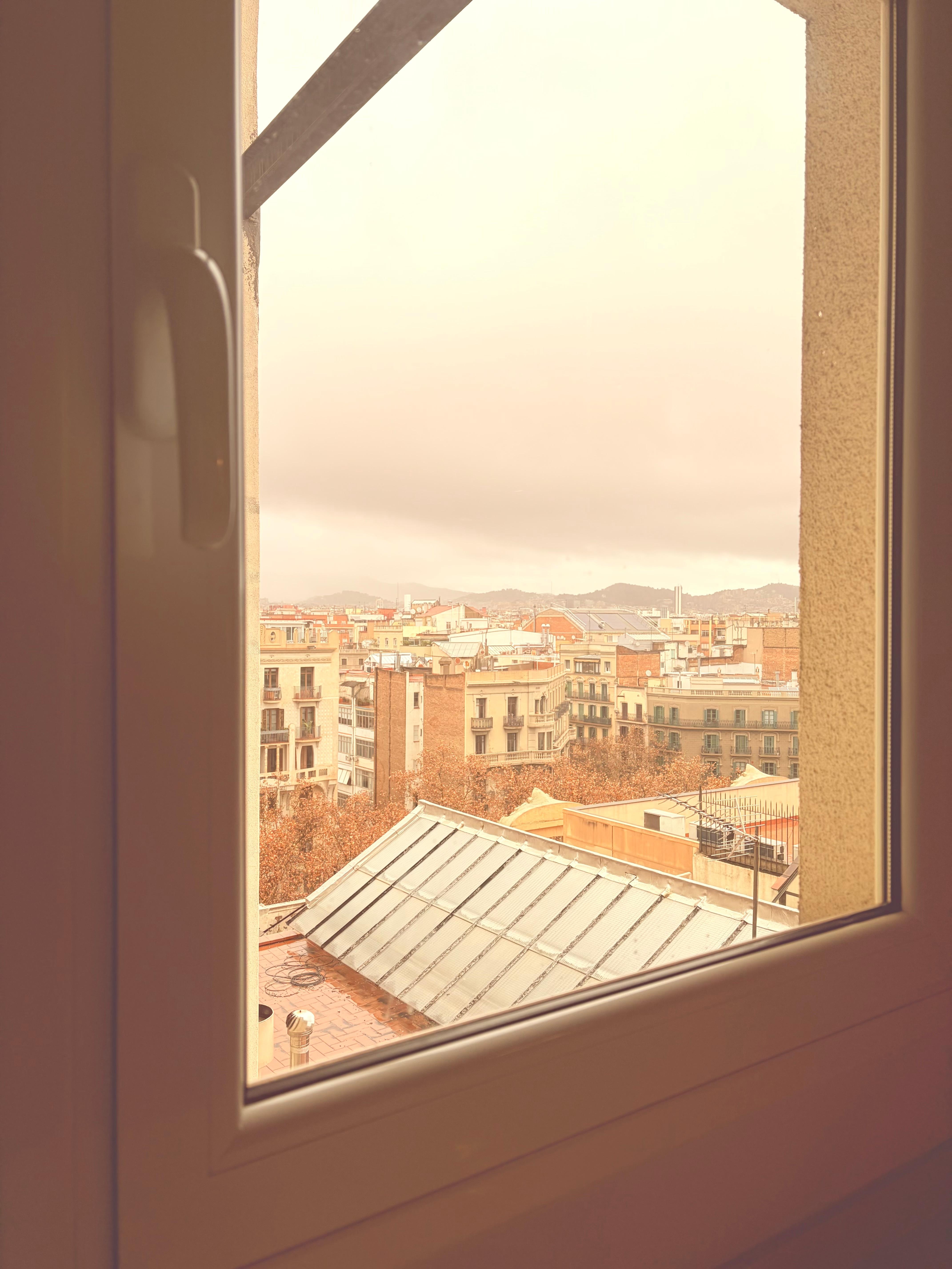 View from kitchen window.