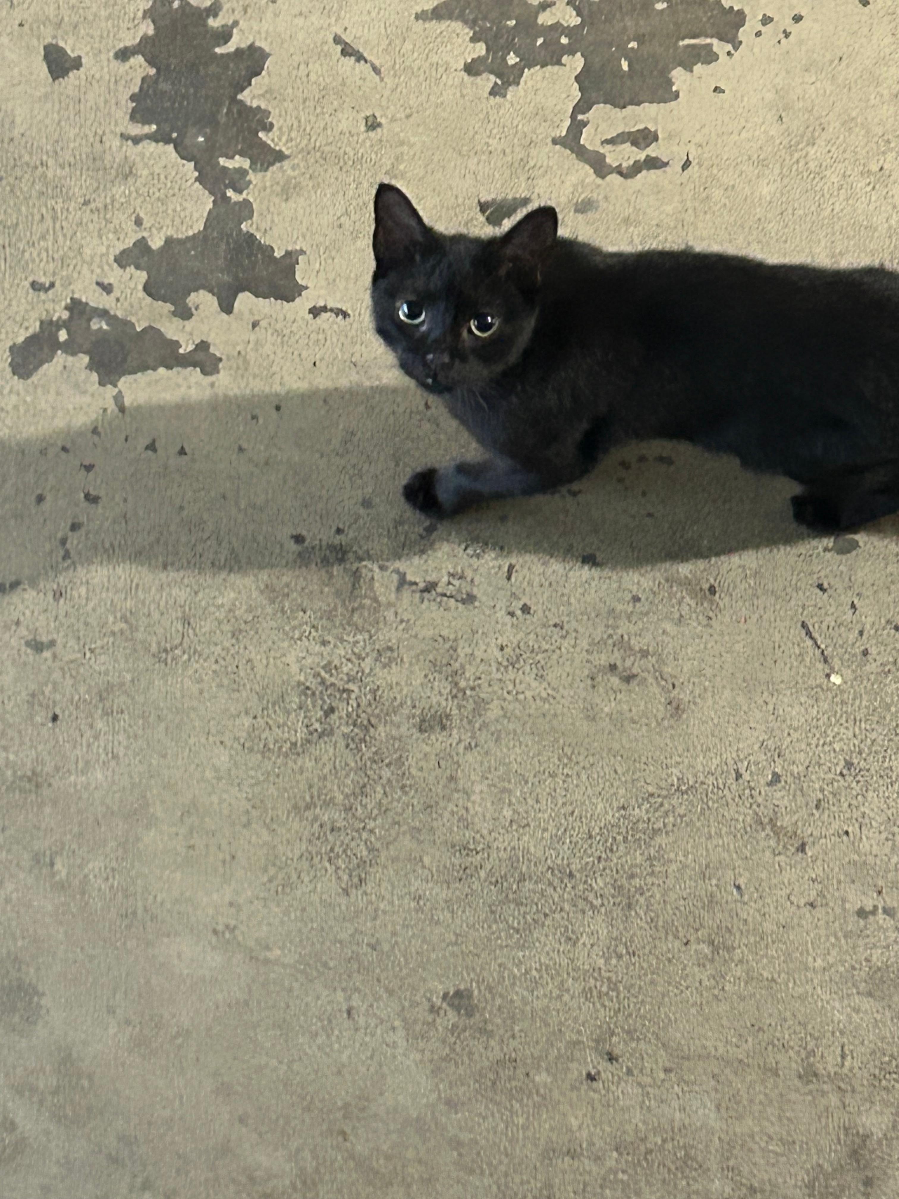 One of the midnight babies