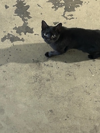 One of the midnight babies