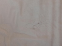 hair in my bed