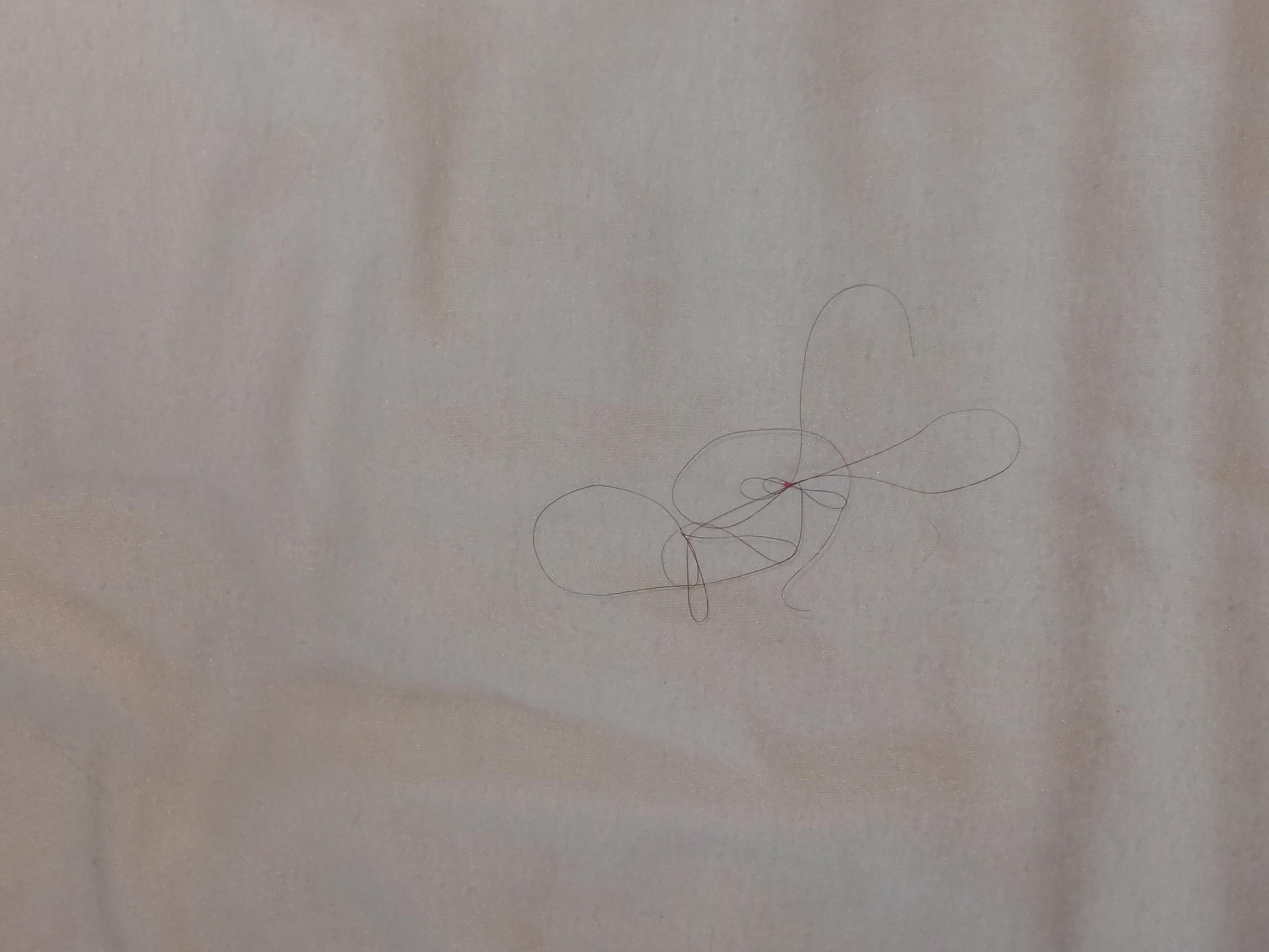 hair in my bed