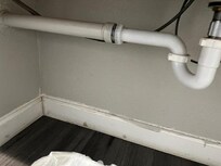 Mold everywhere