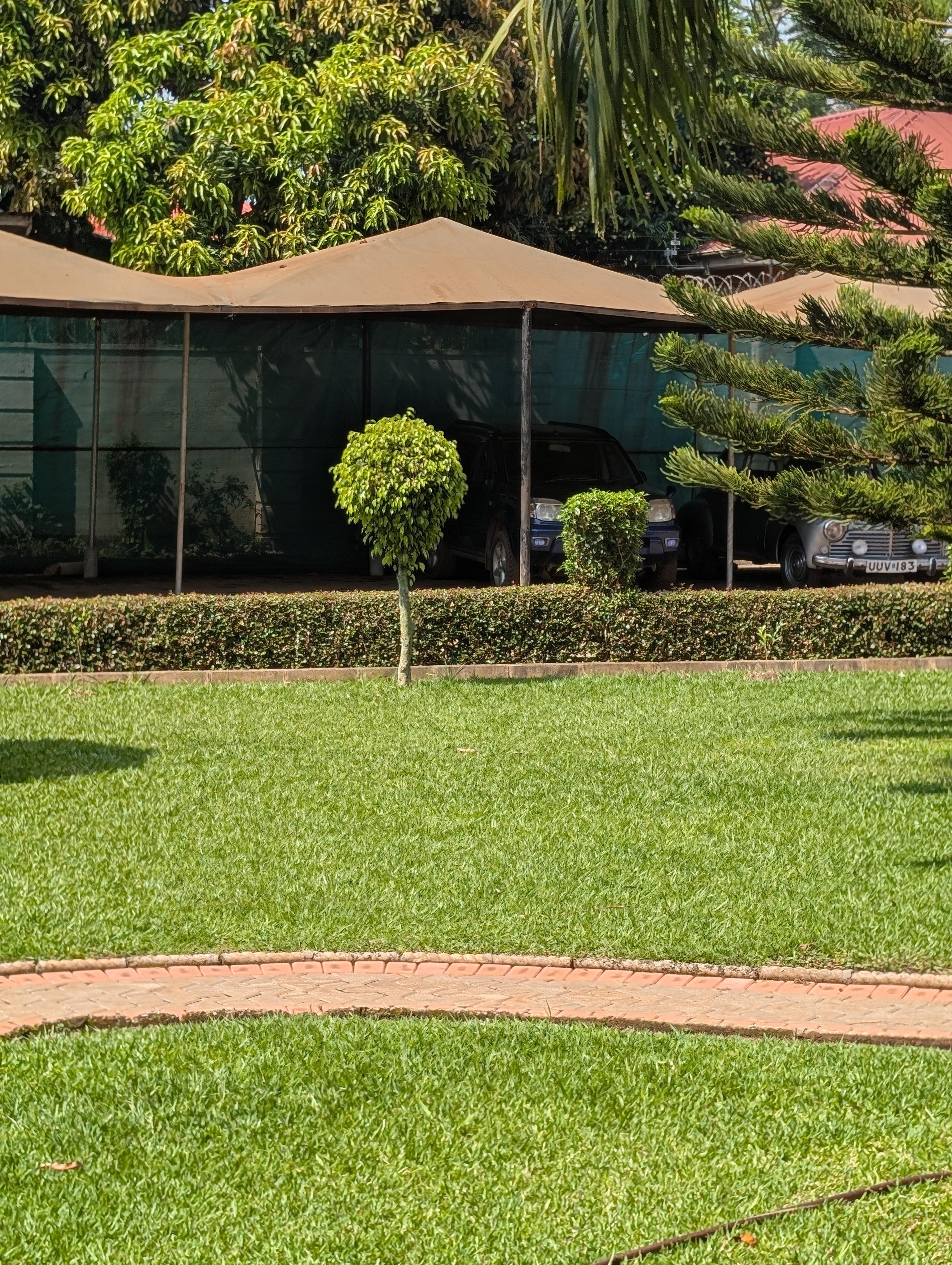 Grounds for reflection