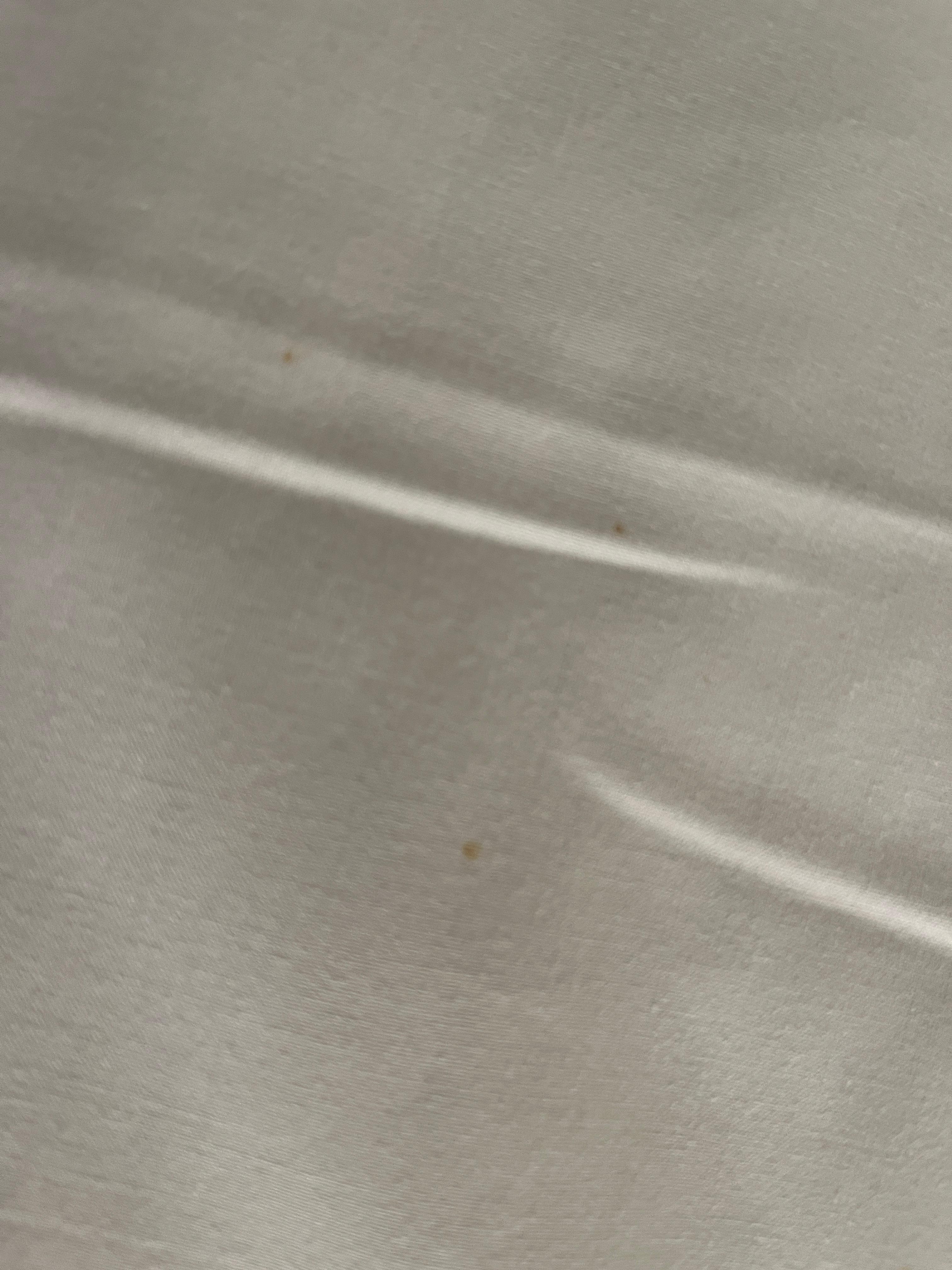 Bedbug miscoulouring of sheet