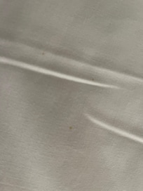 Bedbug miscoulouring of sheet