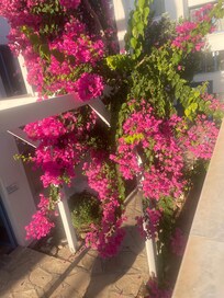 walkway to rooms
